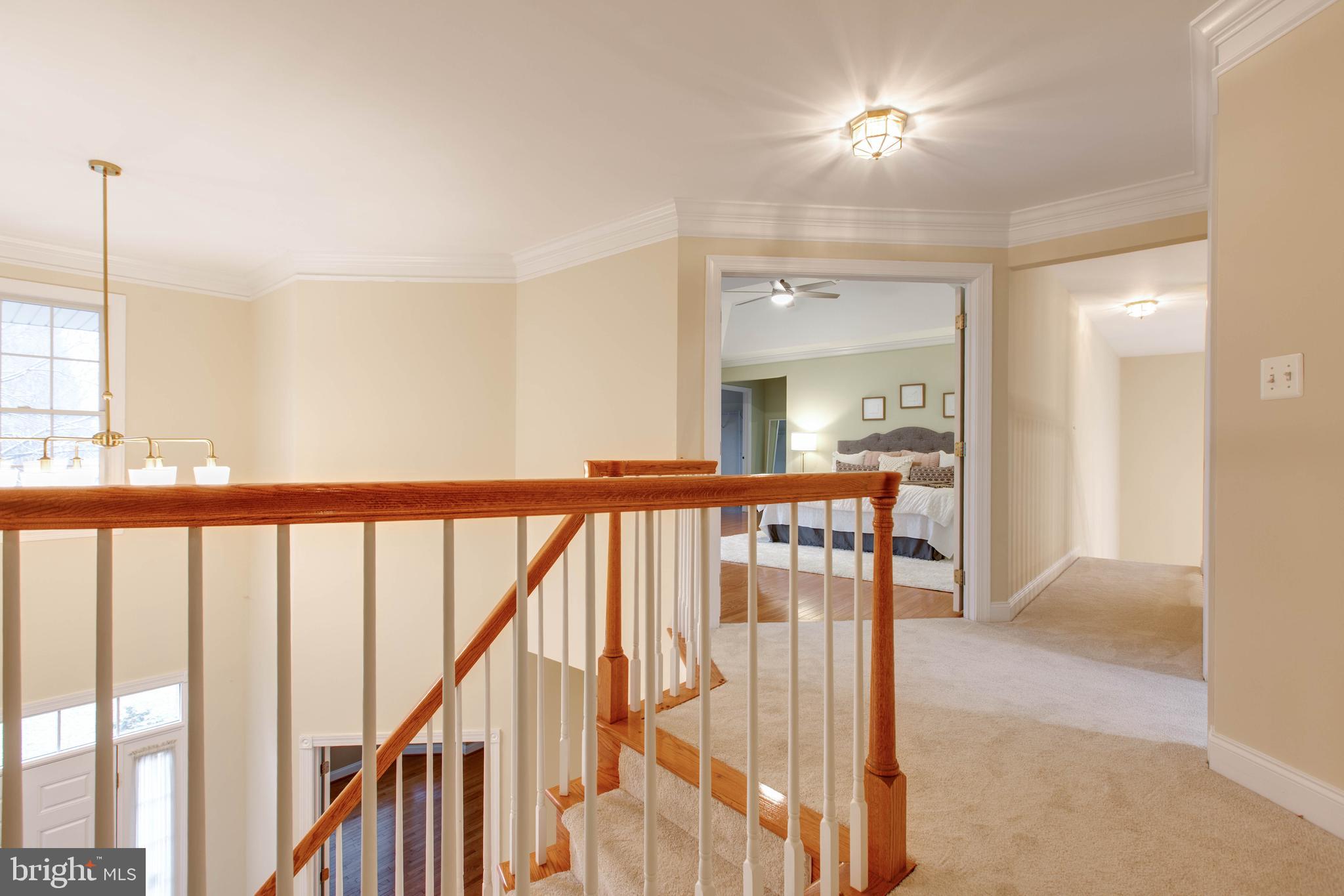 TRIADELPHIA WOODS - Residential