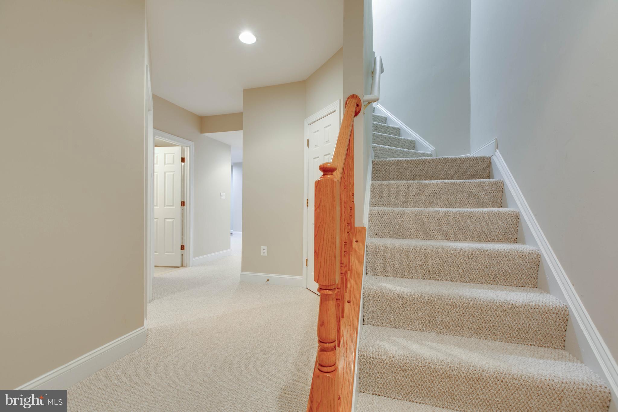 TRIADELPHIA WOODS - Residential