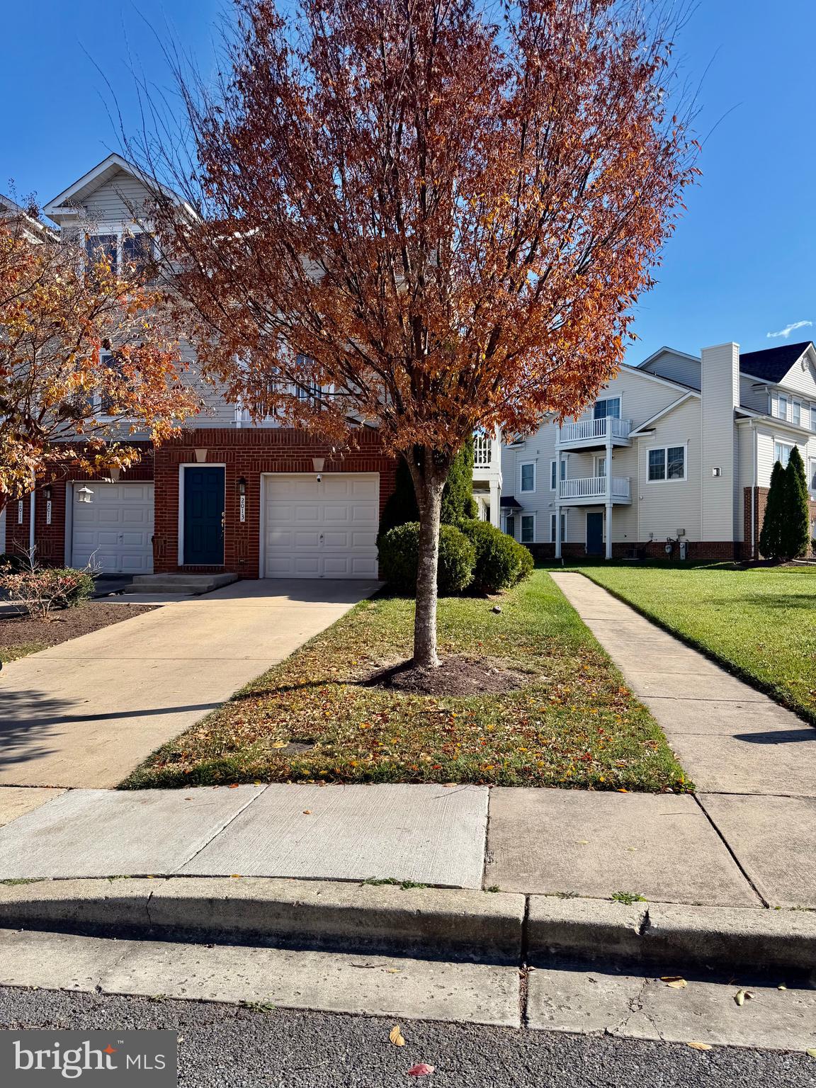 2013 ASTILBE WAY 2013