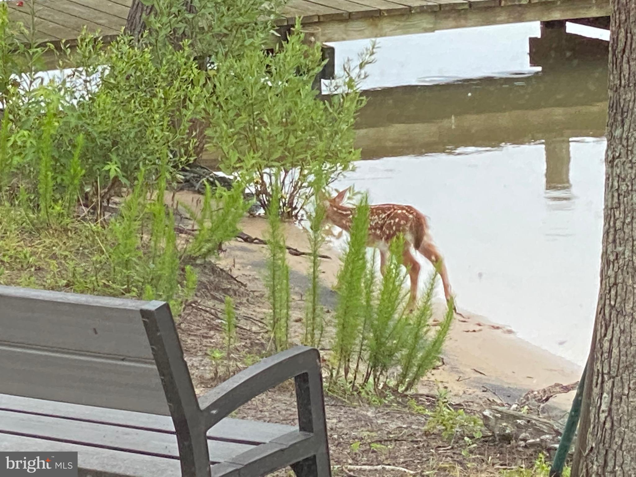 DEEPWATER COVE - Residential