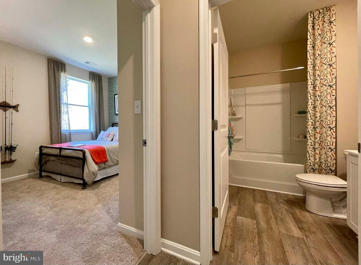 SASSAFRAS MEADOWS - Residential