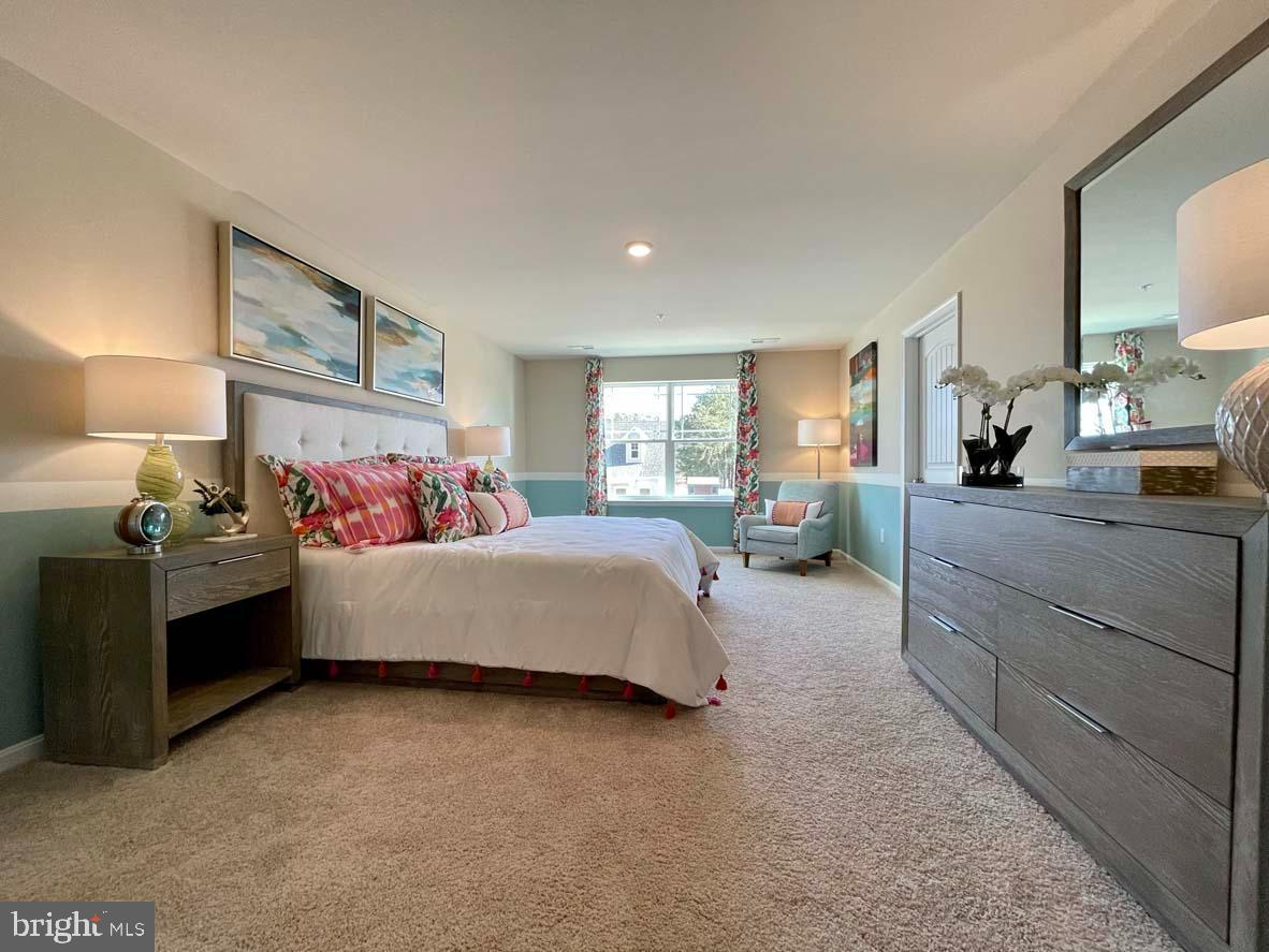 SASSAFRAS MEADOWS - Residential