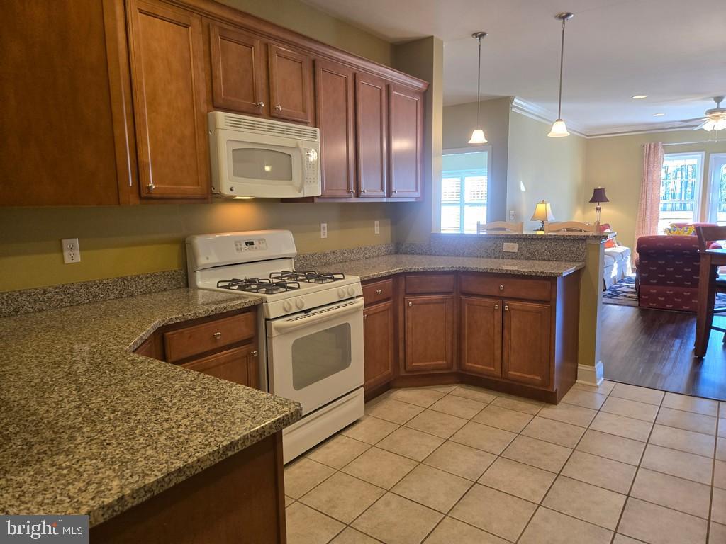 33559 WINDSWEPT DRIVE 11103