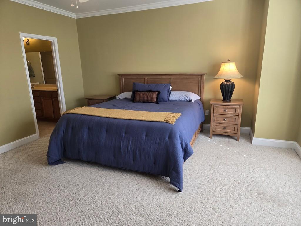 PENINSULA - Residential