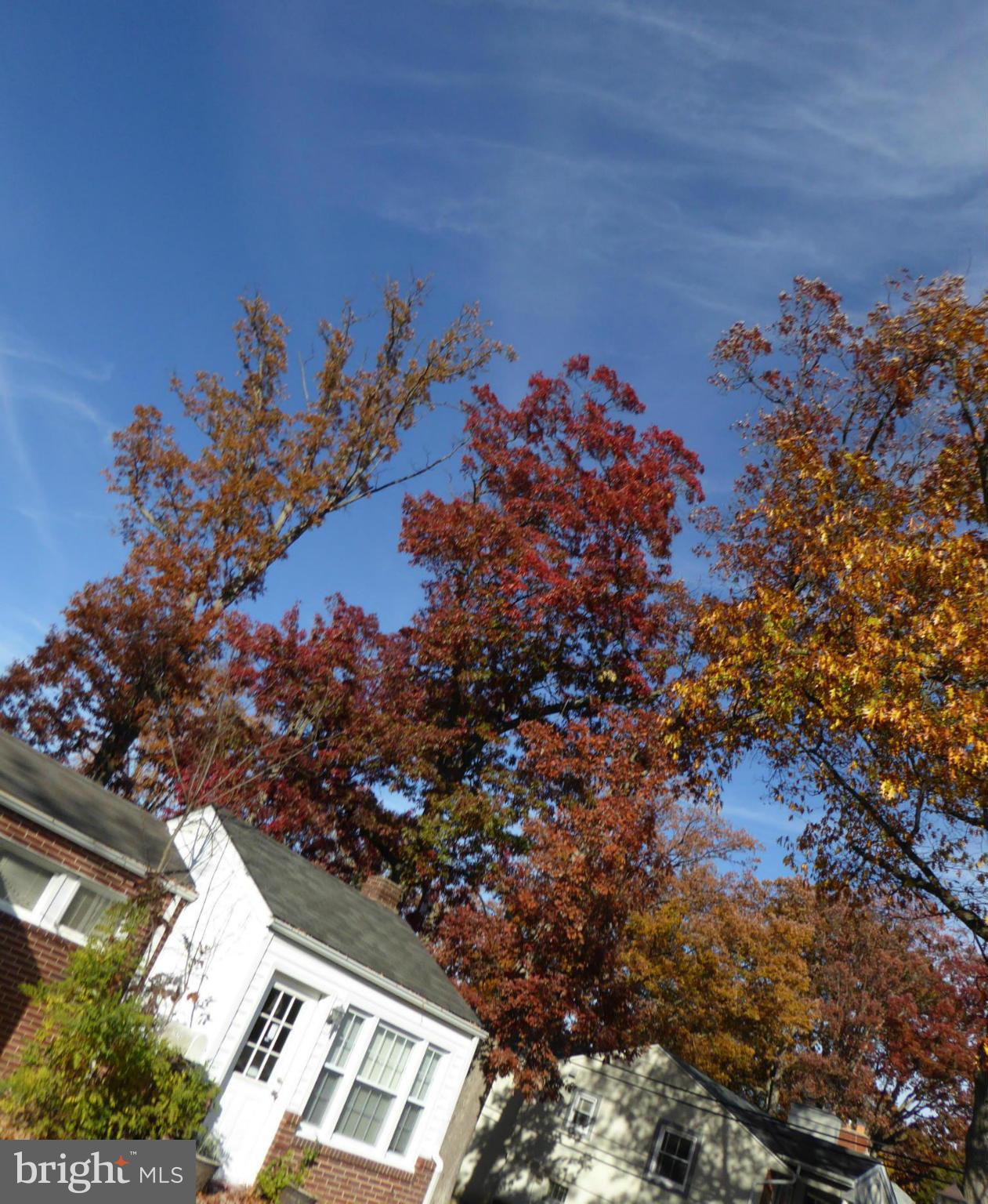 LUTHERVILLE - Commercial Sale