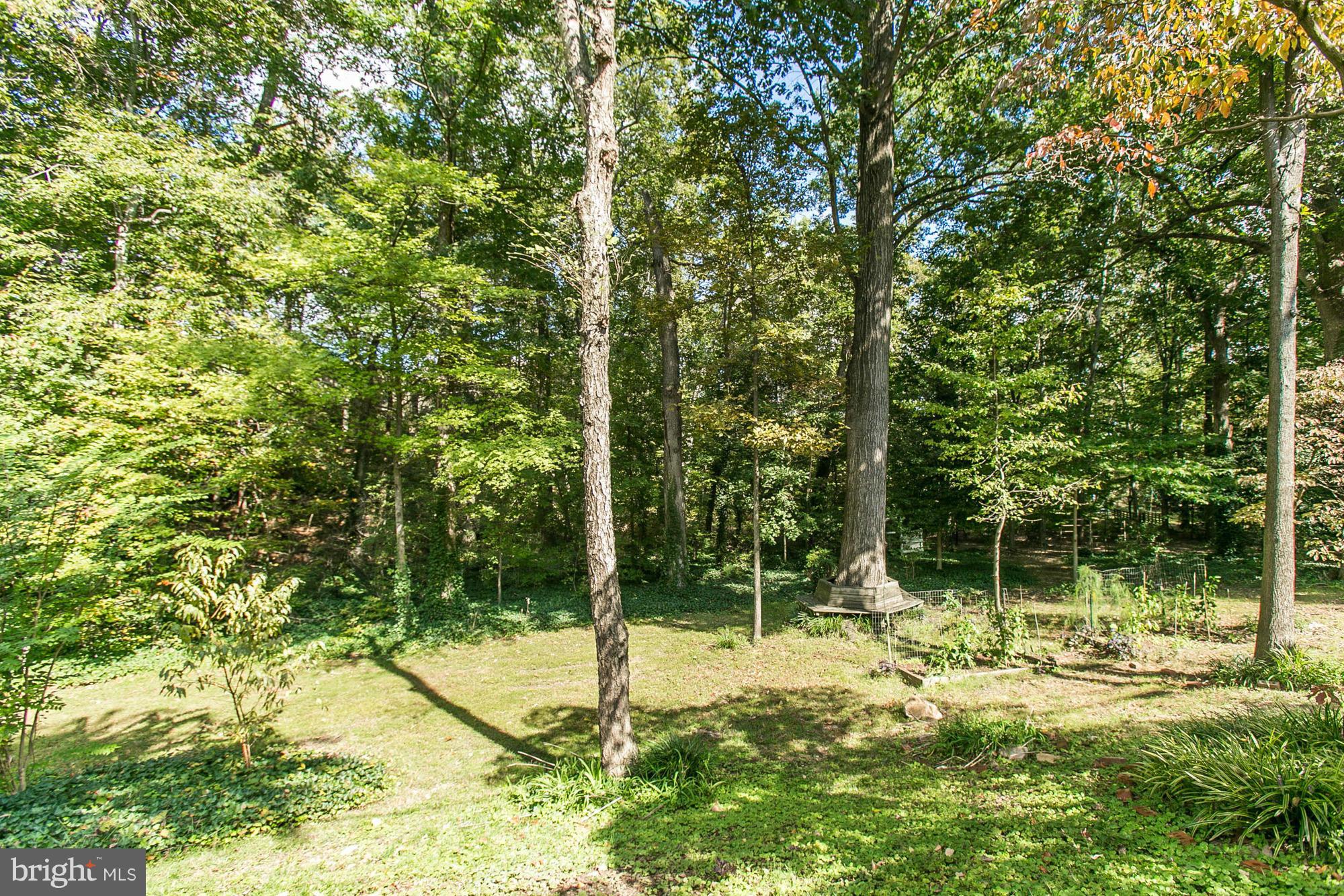 GREENWICH HILL - Residential Lease