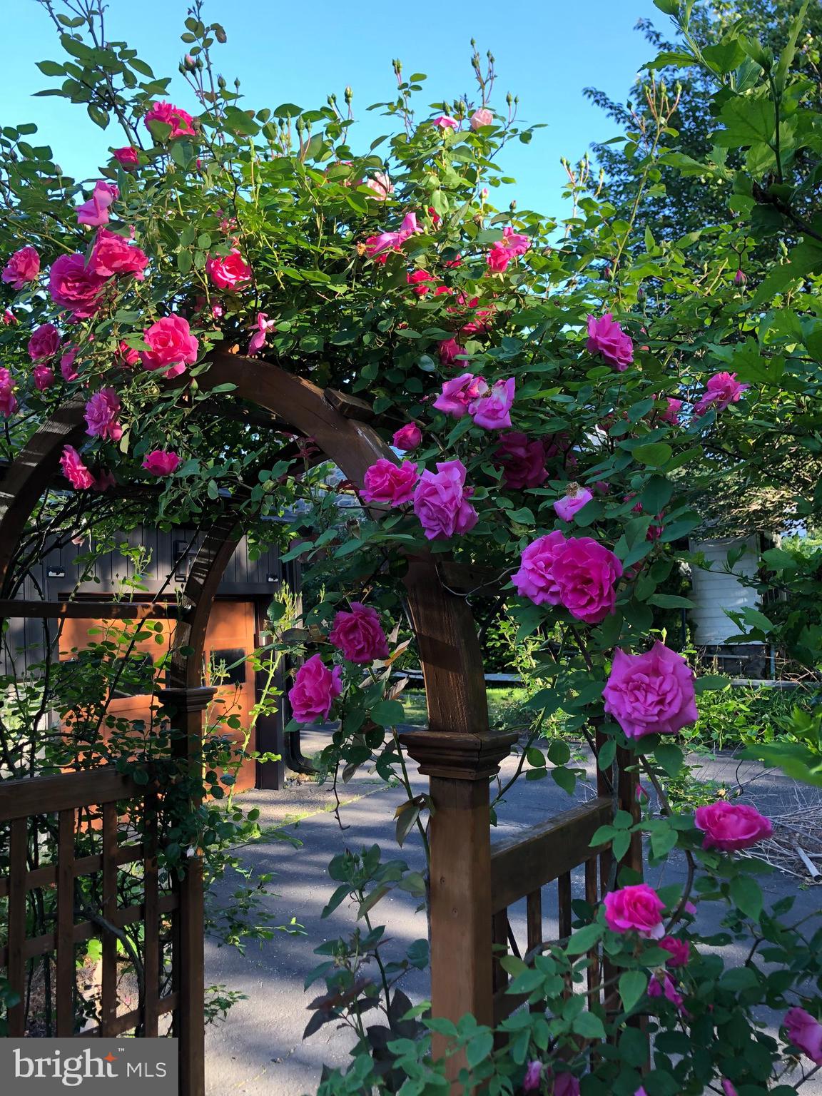 SHORTRIDGE - Residential