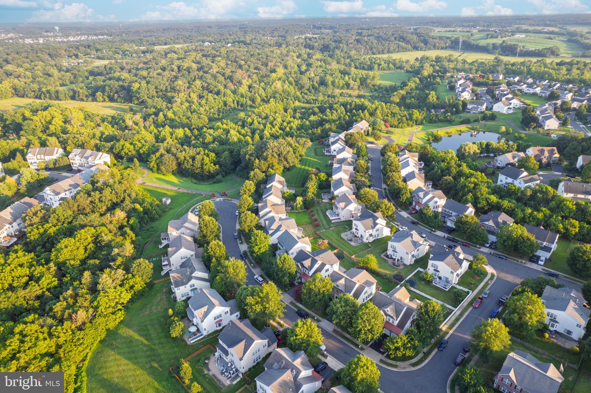 MEADOWS AT MORRIS FARM - Residential