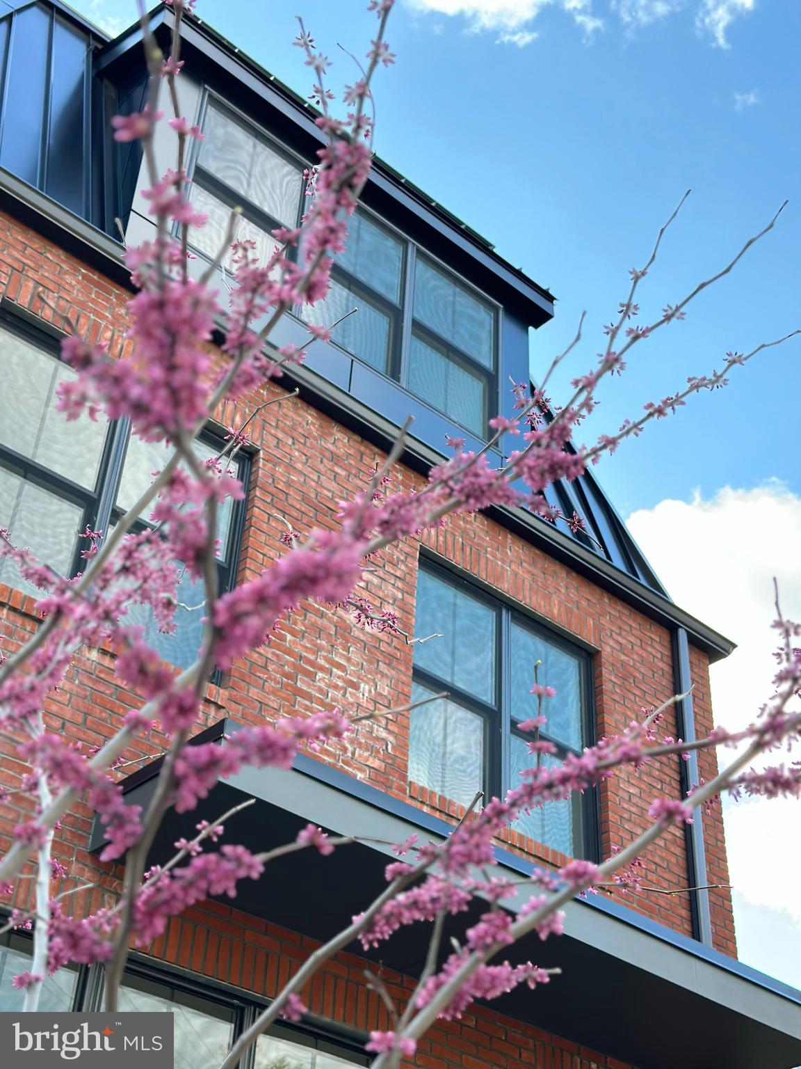 WISSAHICKON - Residential