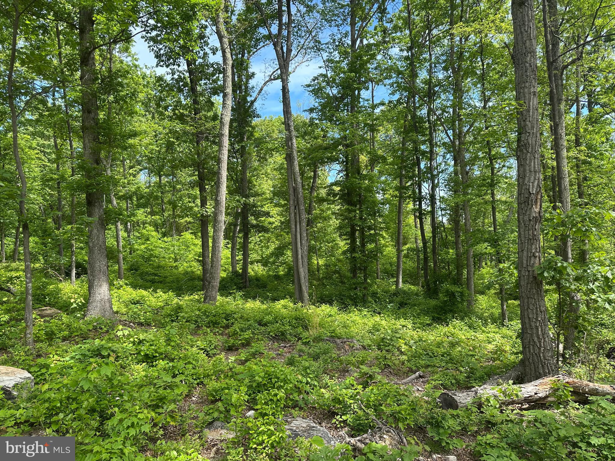 NONE AVAILABLE - Land