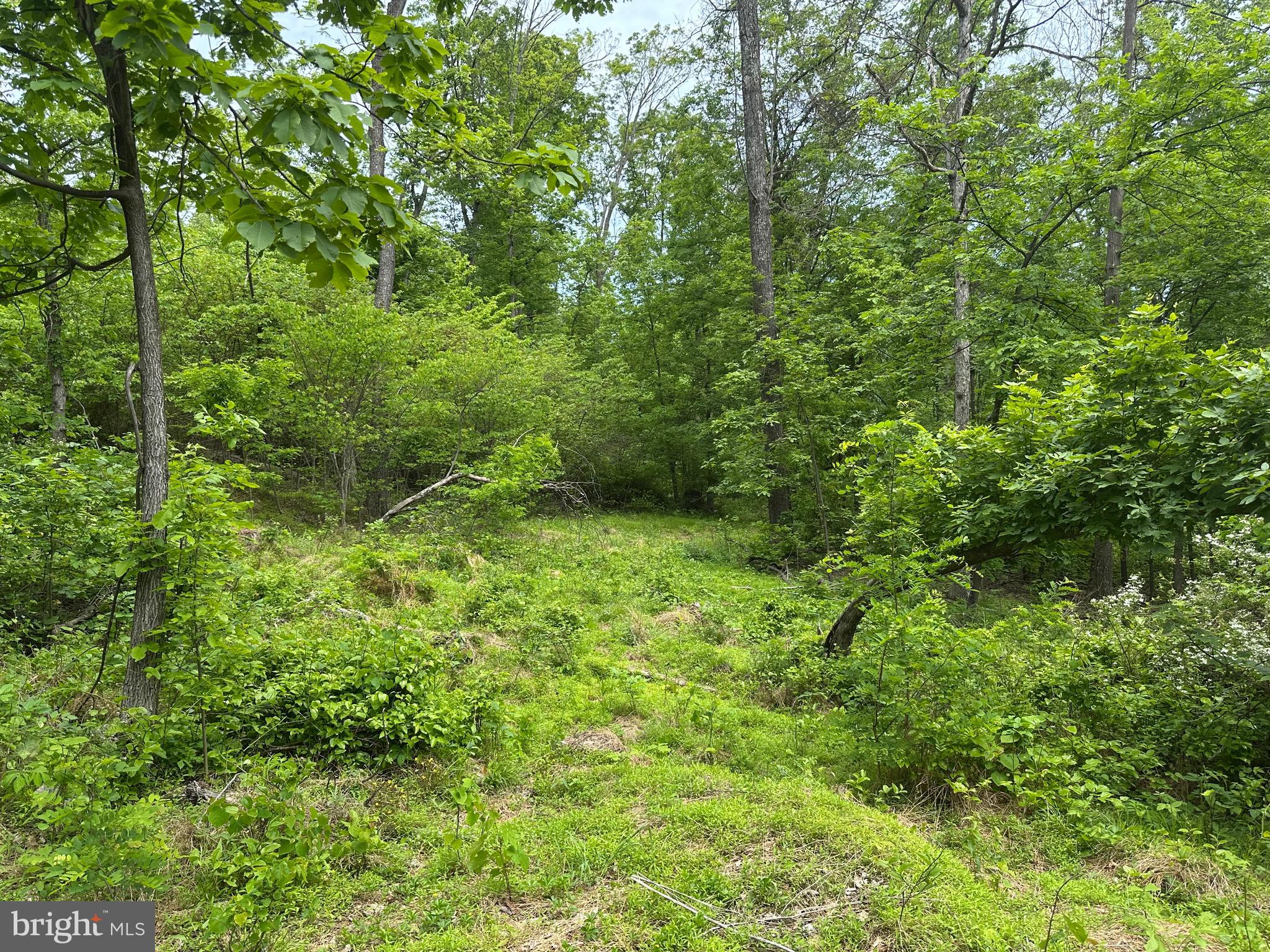 NONE AVAILABLE - Land