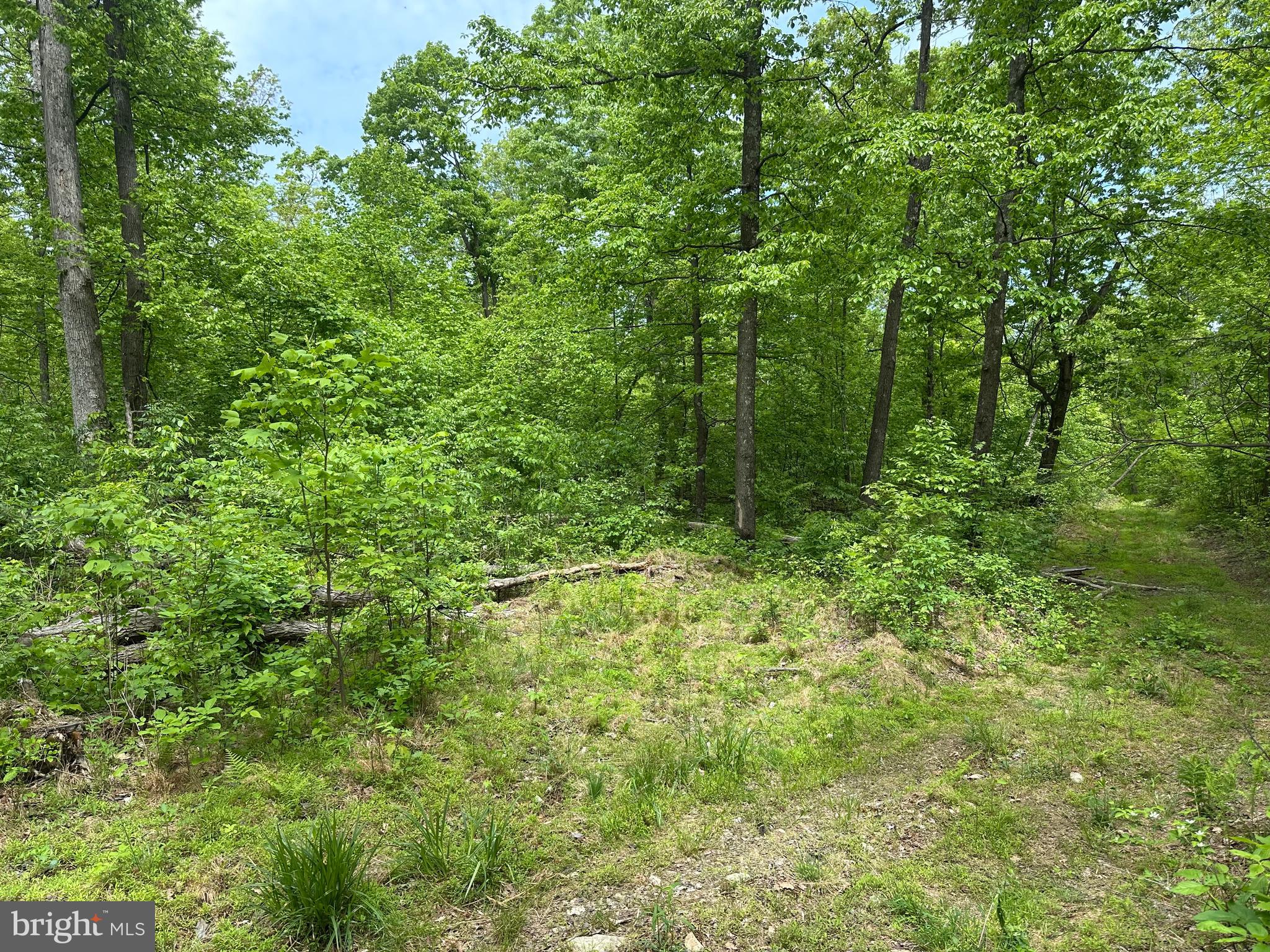 NONE AVAILABLE - Land