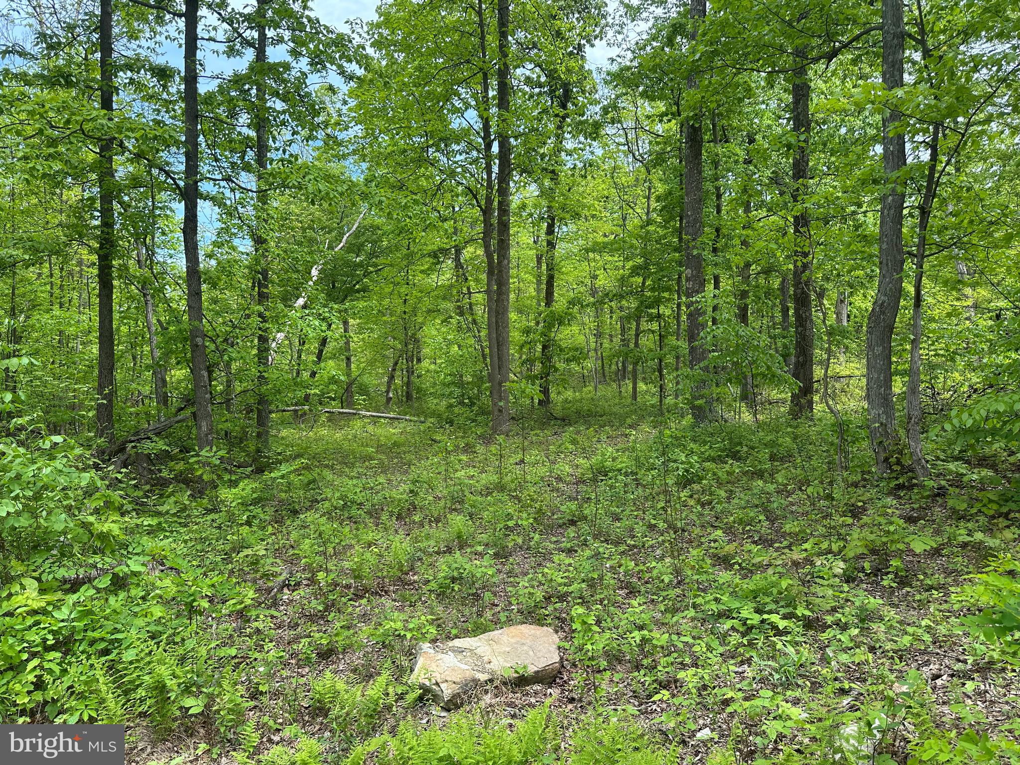 NONE AVAILABLE - Land