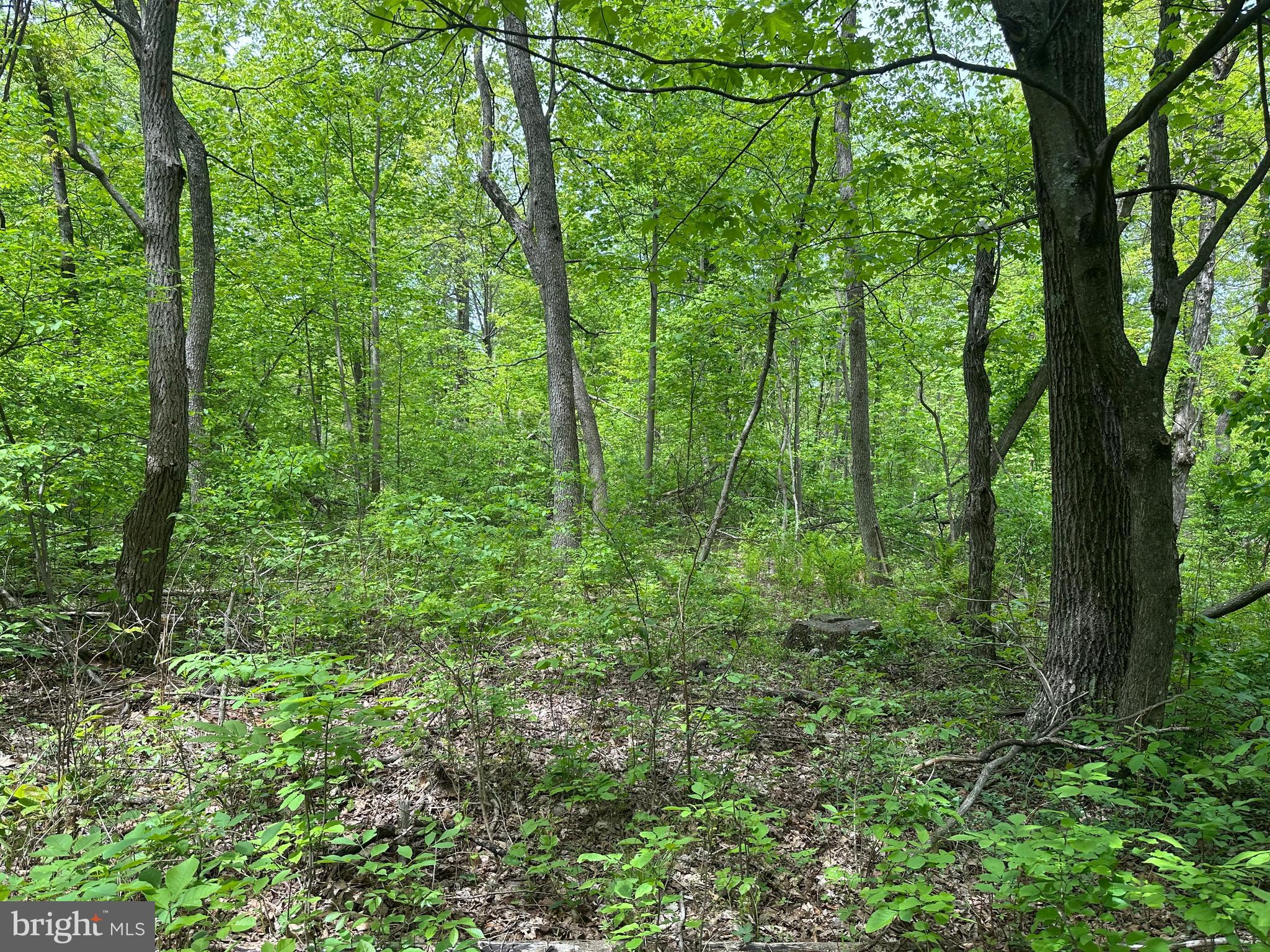 NONE AVAILABLE - Land