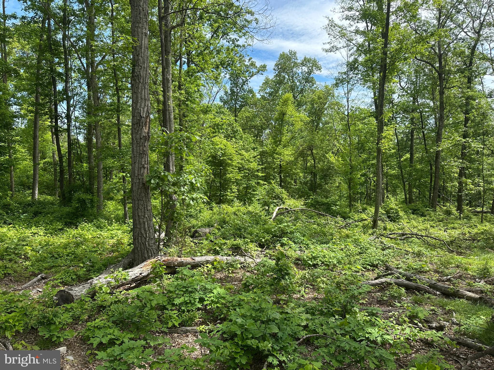 NONE AVAILABLE - Land