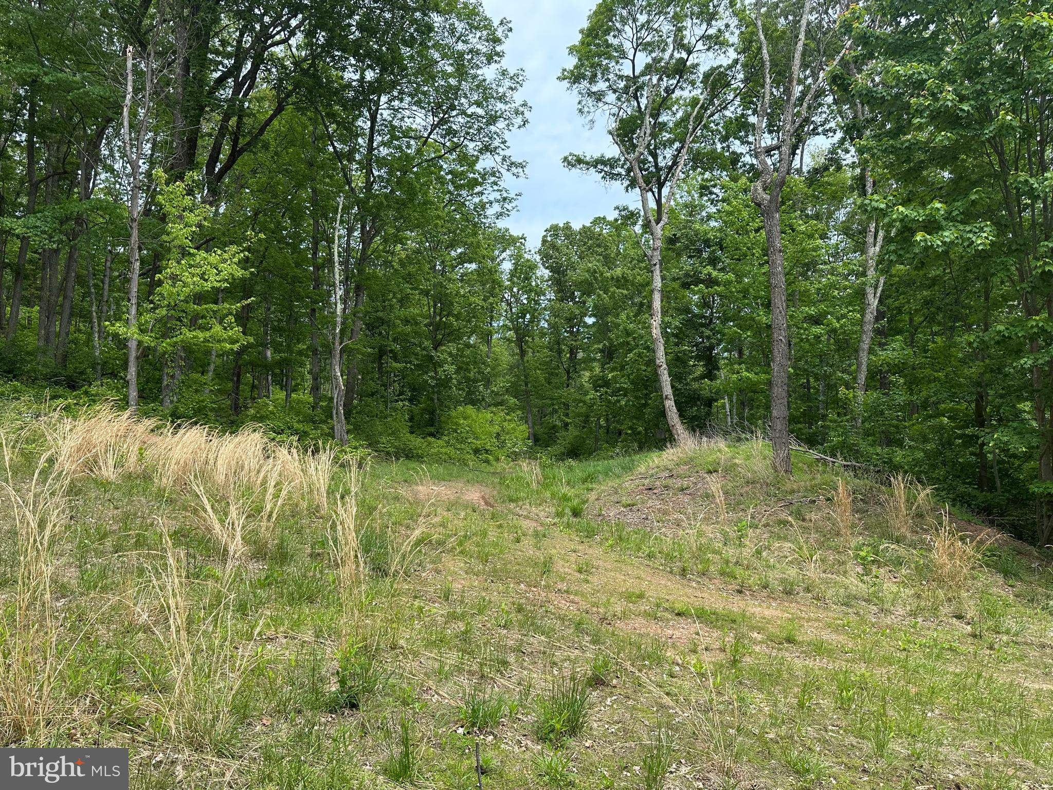 NONE AVAILABLE - Land