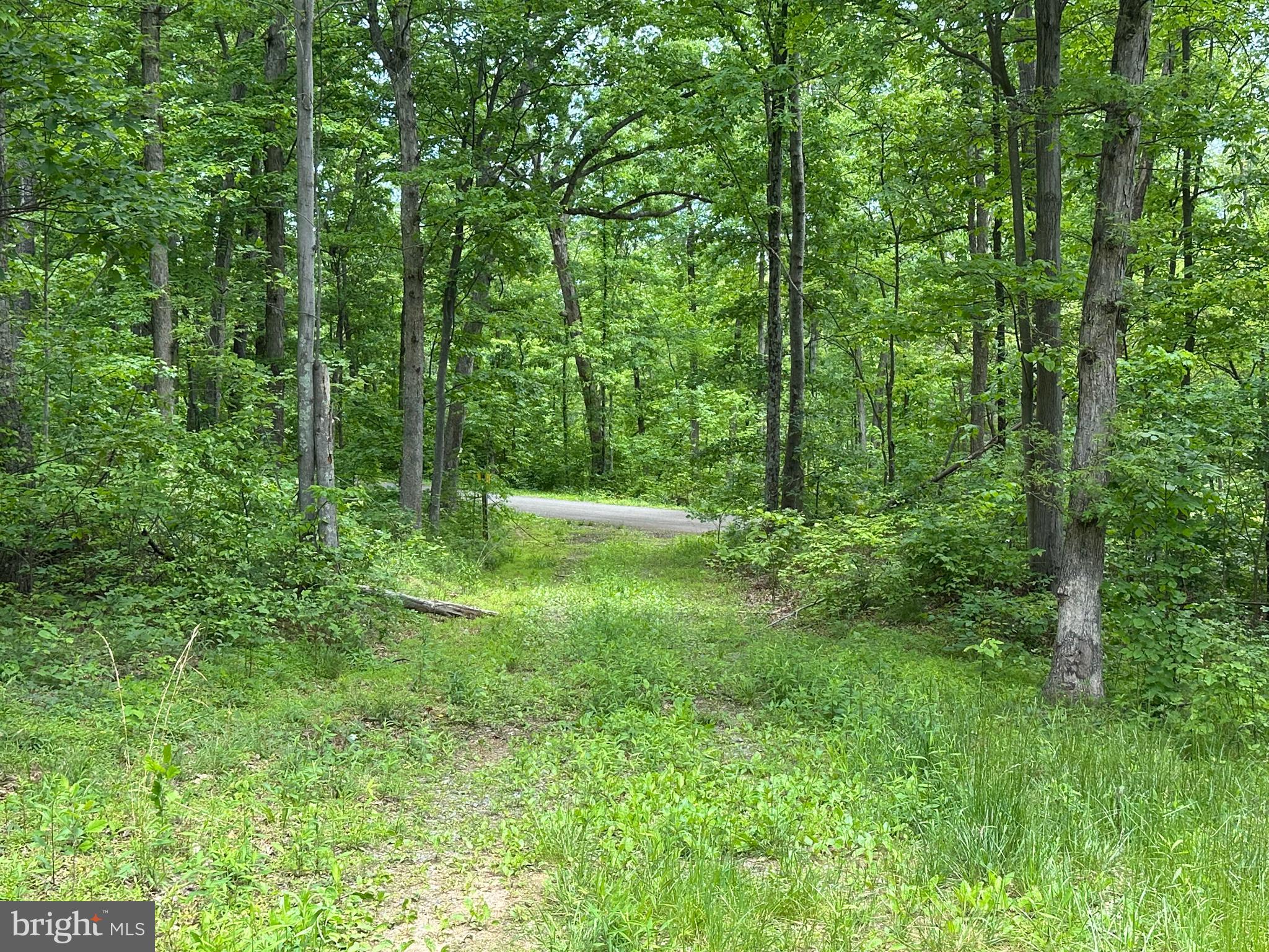 NONE AVAILABLE - Land