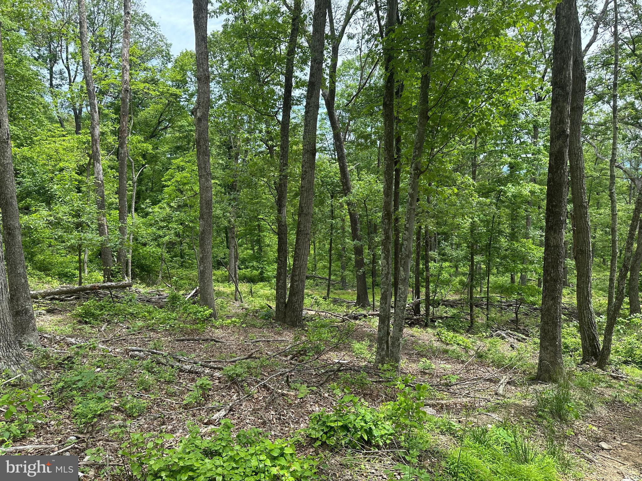 NONE AVAILABLE - Land