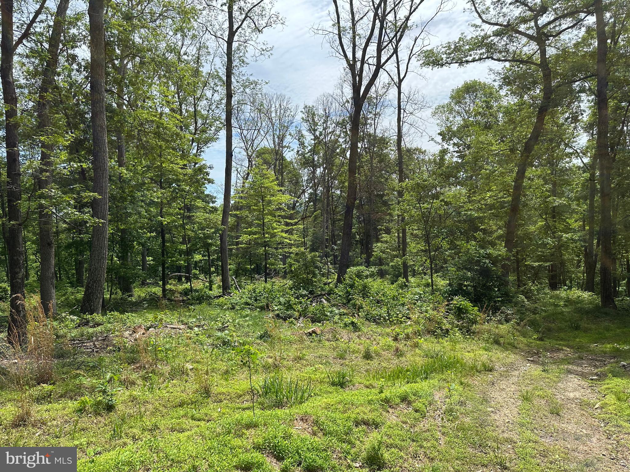 NONE AVAILABLE - Land