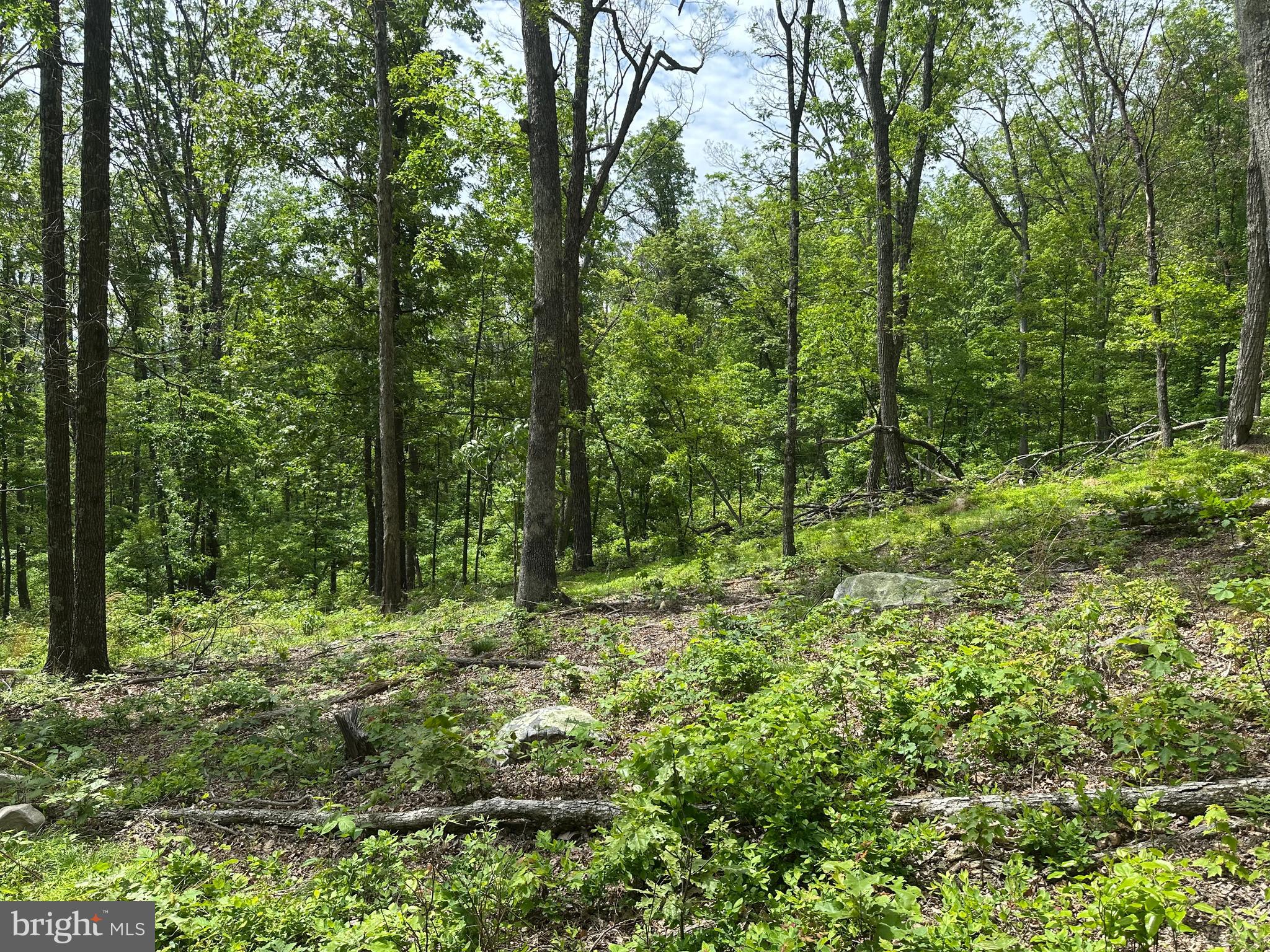 NONE AVAILABLE - Land