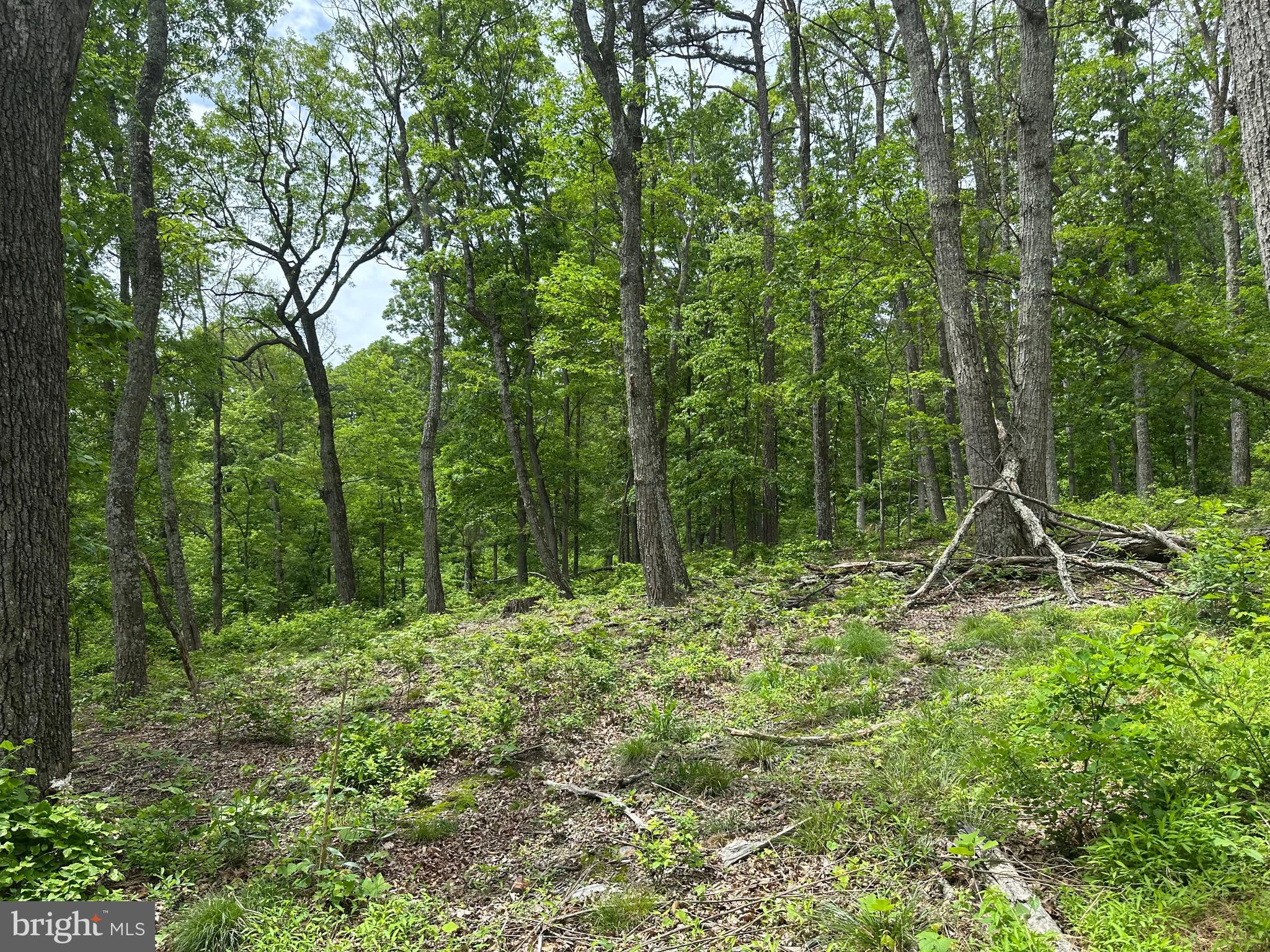 NONE AVAILABLE - Land