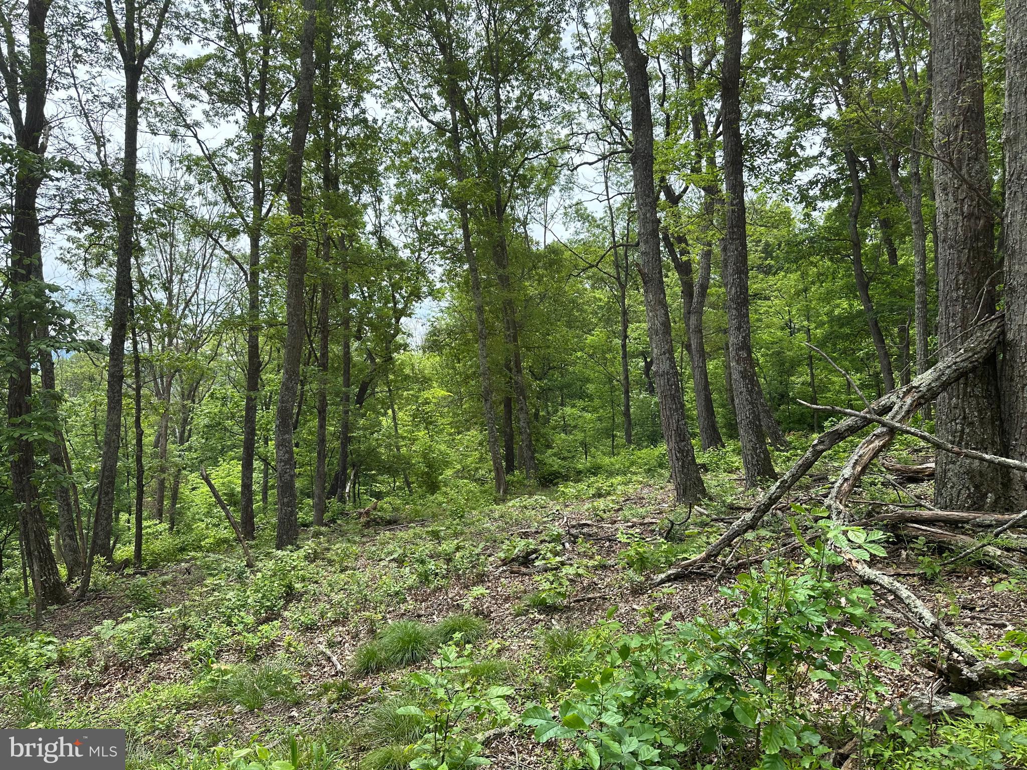 NONE AVAILABLE - Land