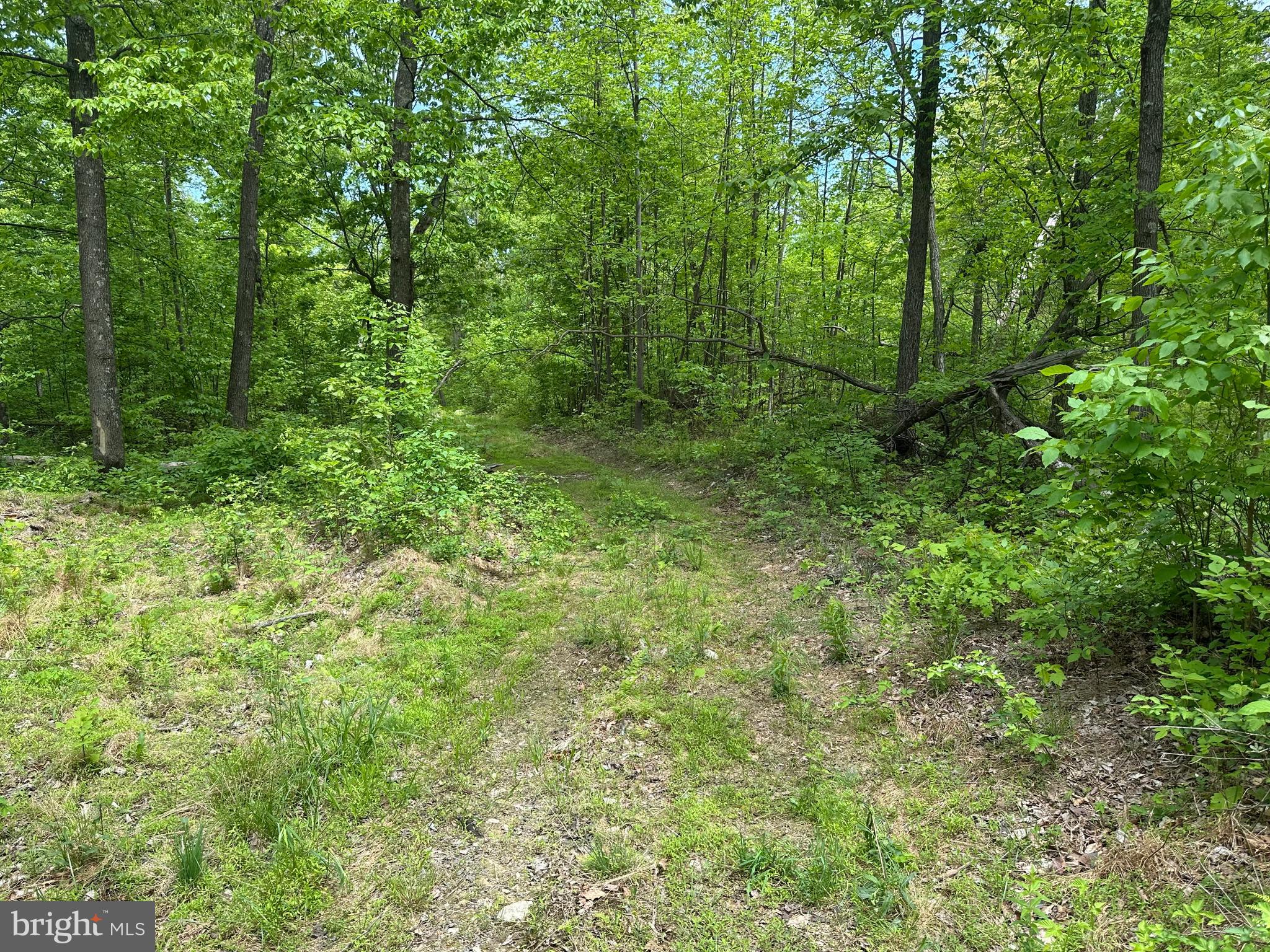 NONE AVAILABLE - Land