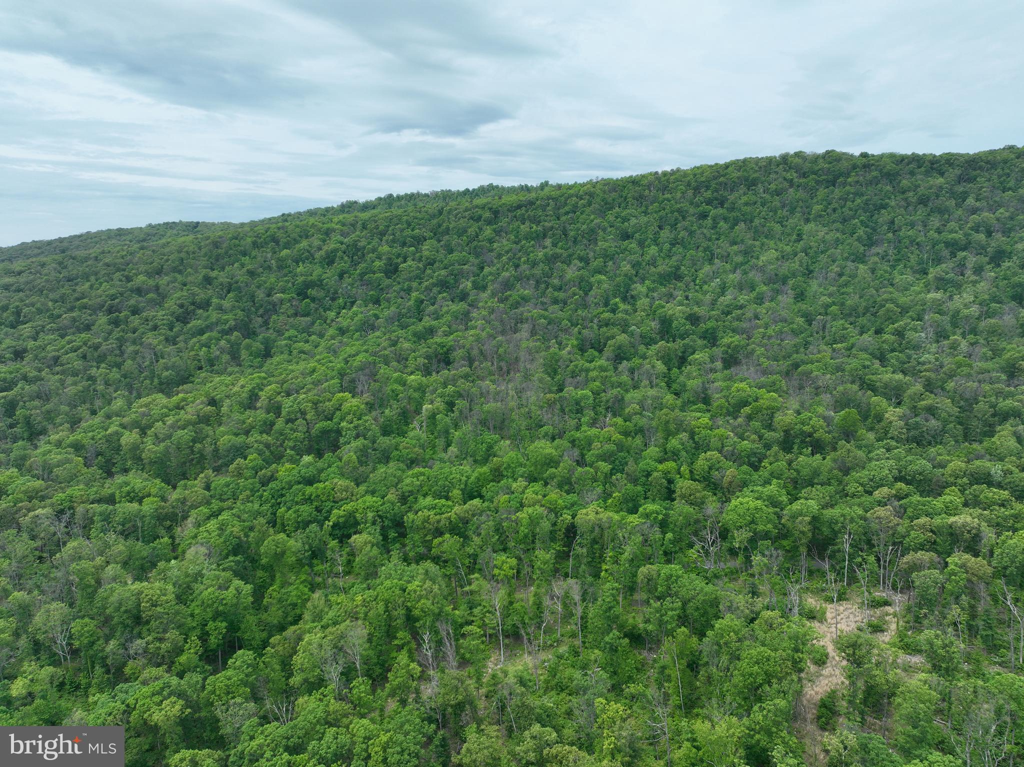 NONE AVAILABLE - Land