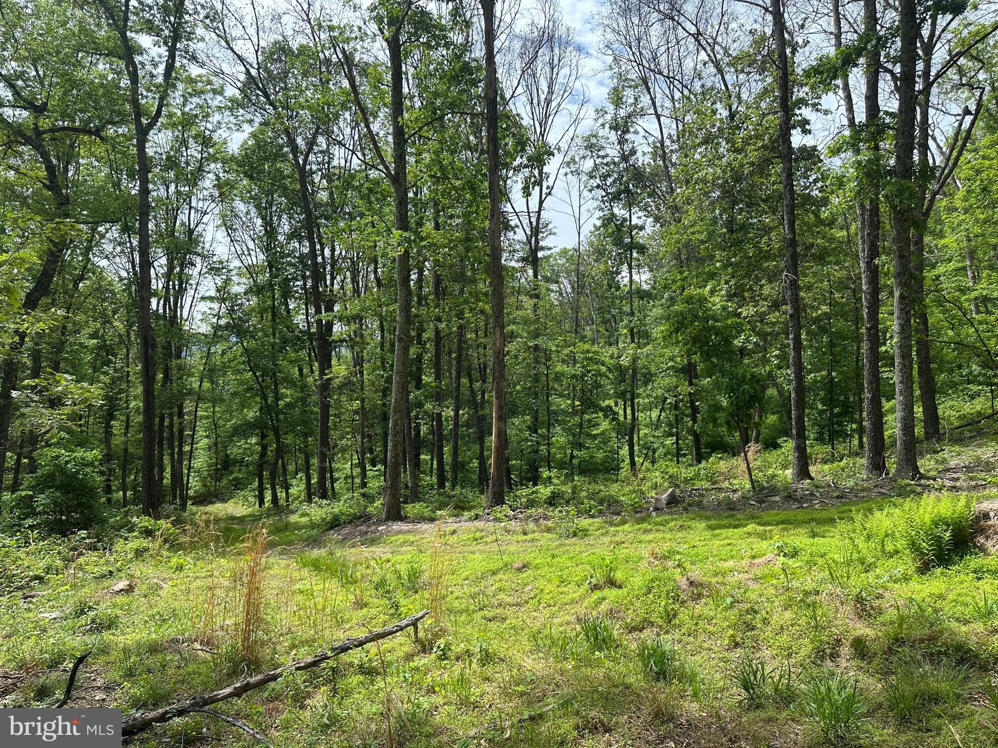 NONE AVAILABLE - Land