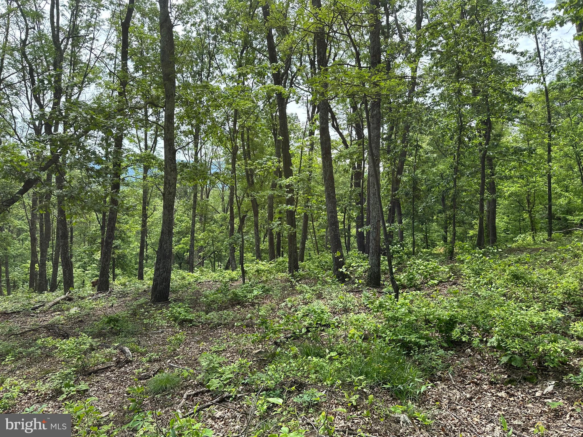 NONE AVAILABLE - Land