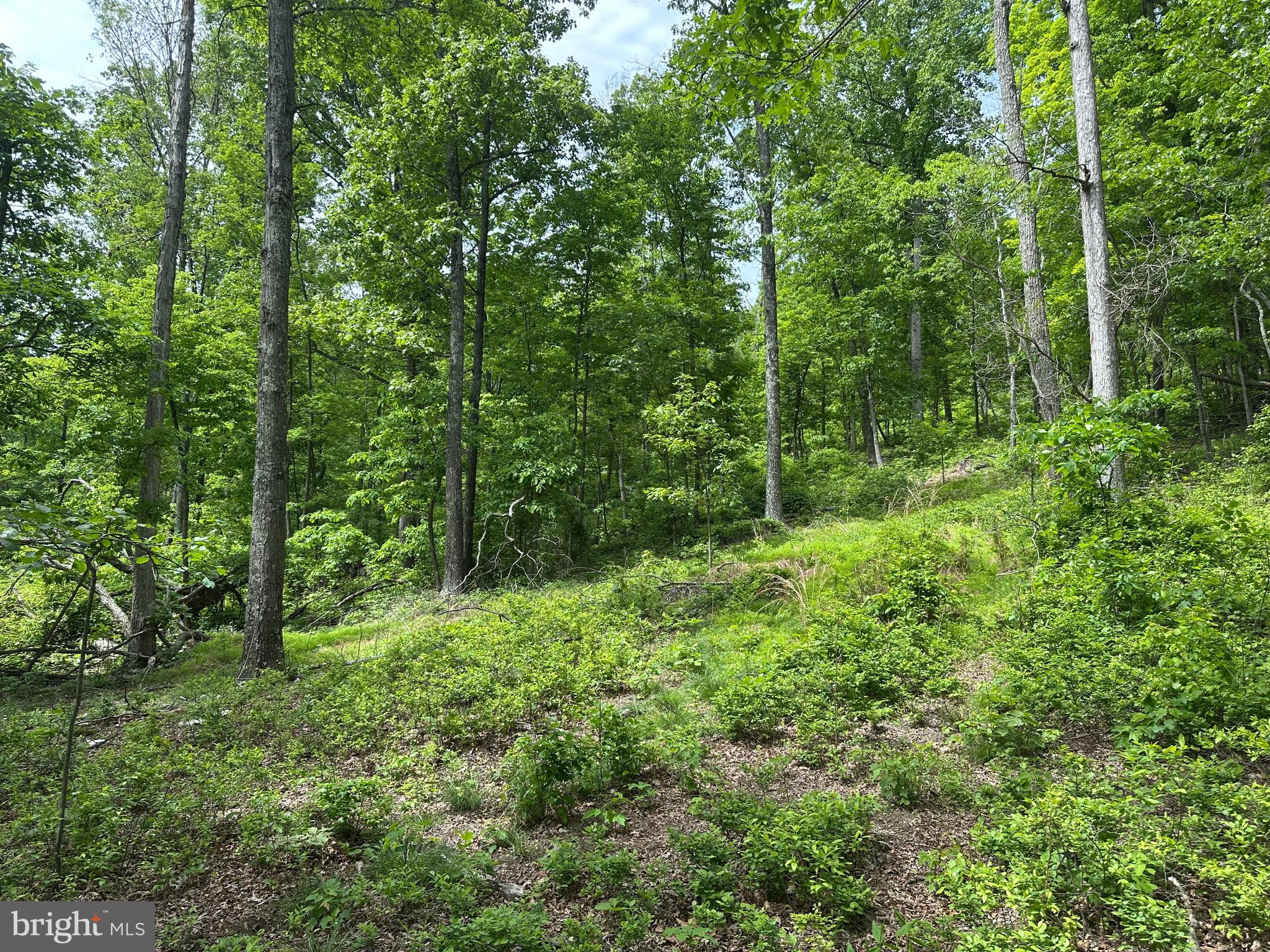 NONE AVAILABLE - Land