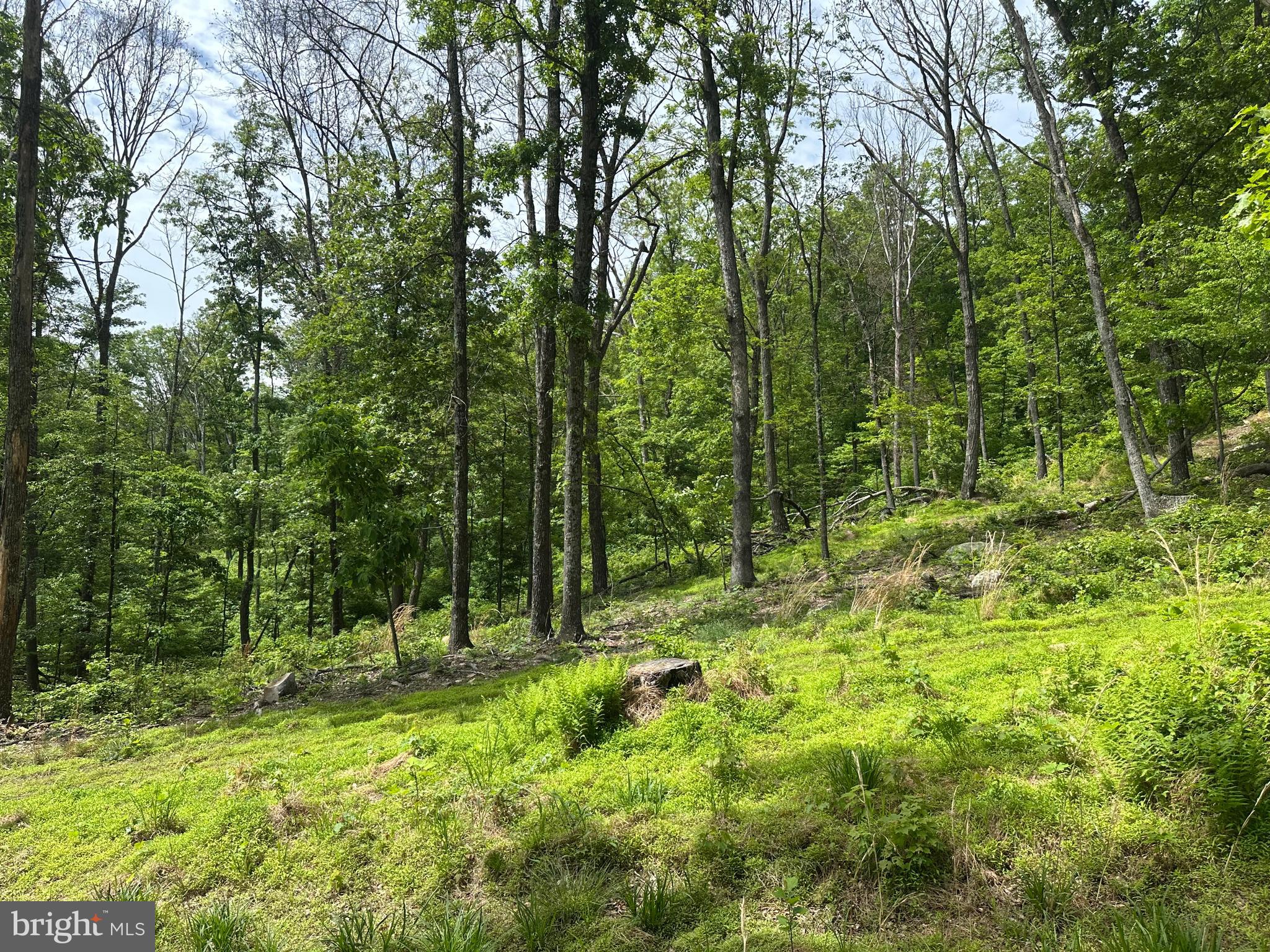 NONE AVAILABLE - Land