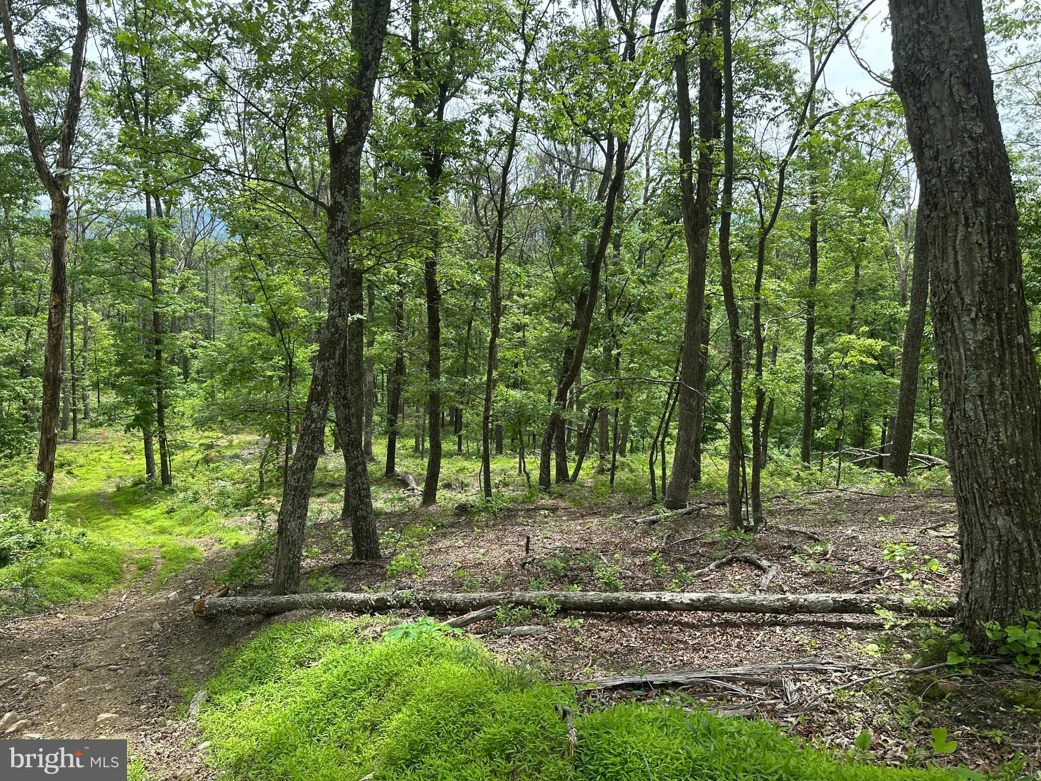 NONE AVAILABLE - Land