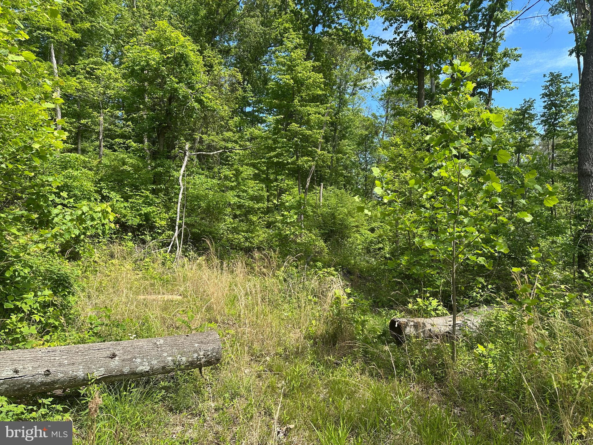 NONE AVAILABLE - Land