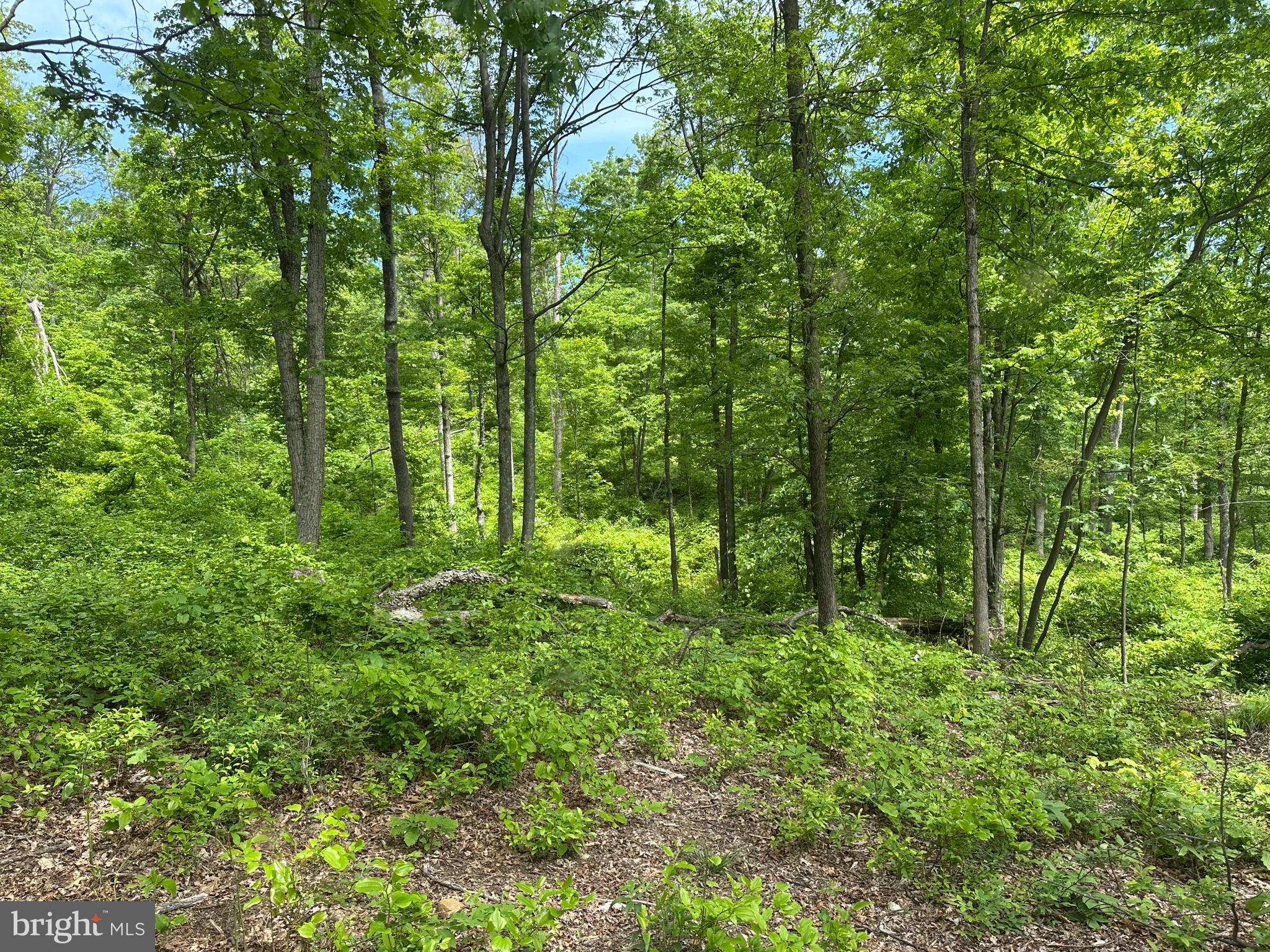 NONE AVAILABLE - Land