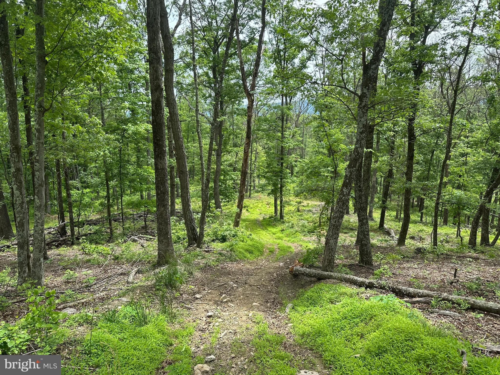 NONE AVAILABLE - Land