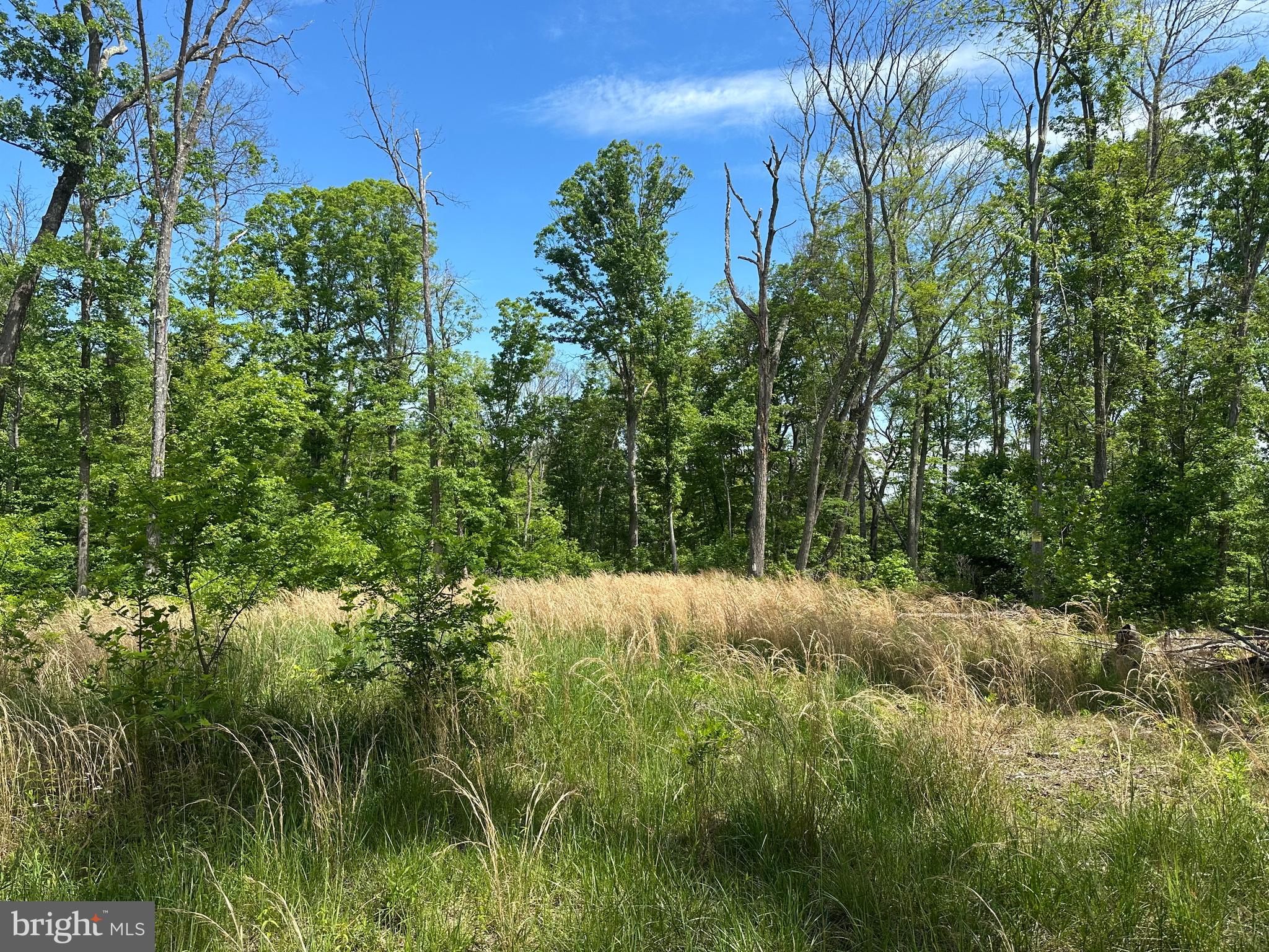 NONE AVAILABLE - Land