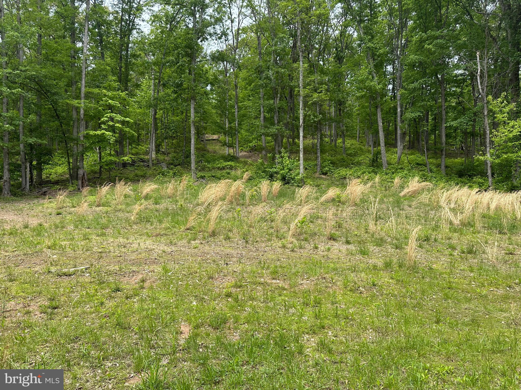 NONE AVAILABLE - Land