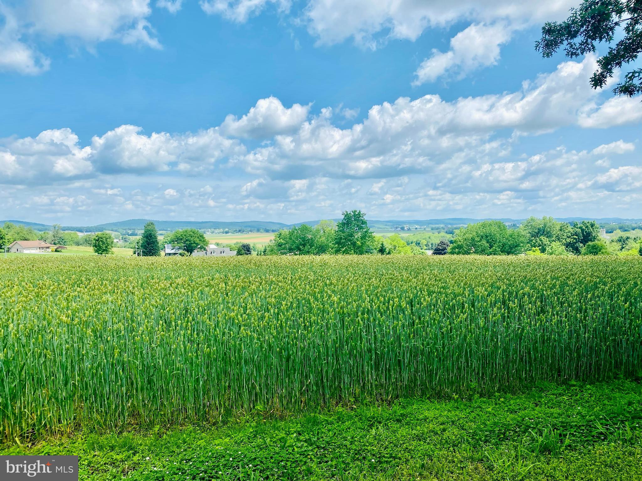 BRUNNERVILLE - Residential