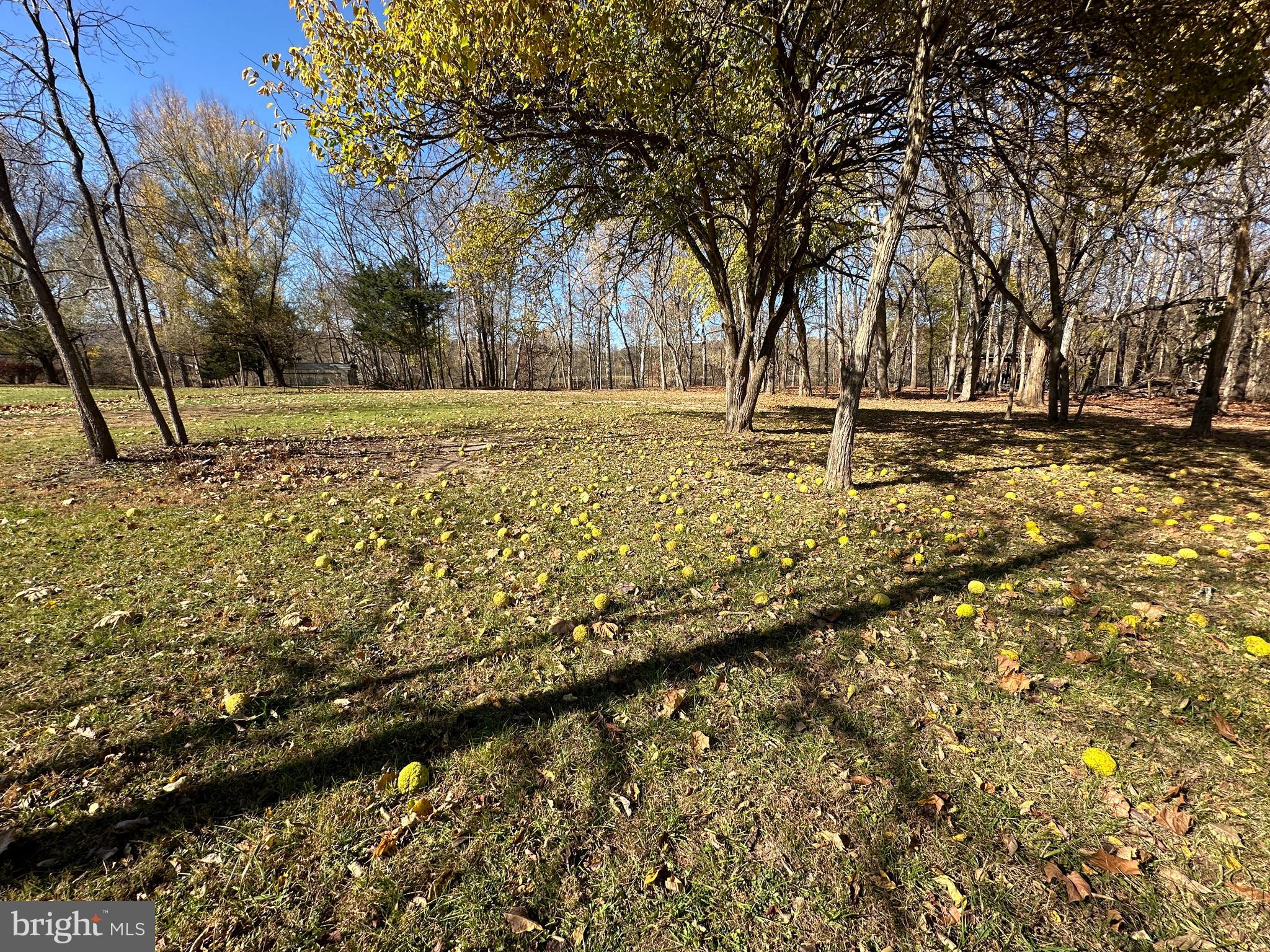 FRENCHS NECK EAST - Land
