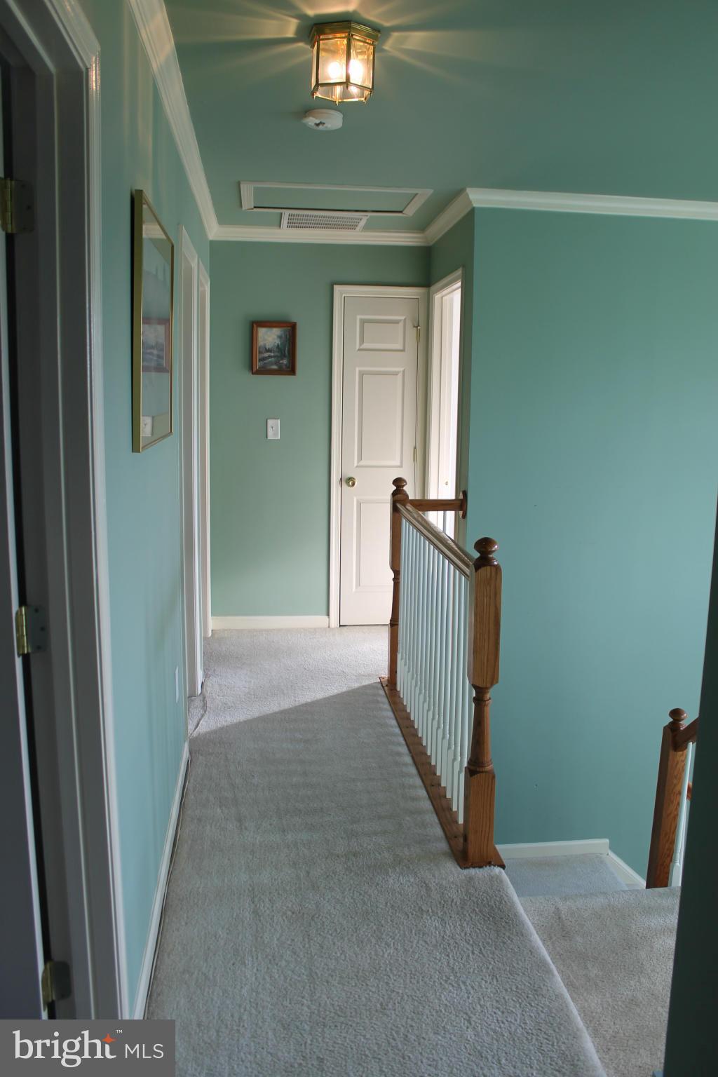 SPRUCE HILL ESTATES - Residential