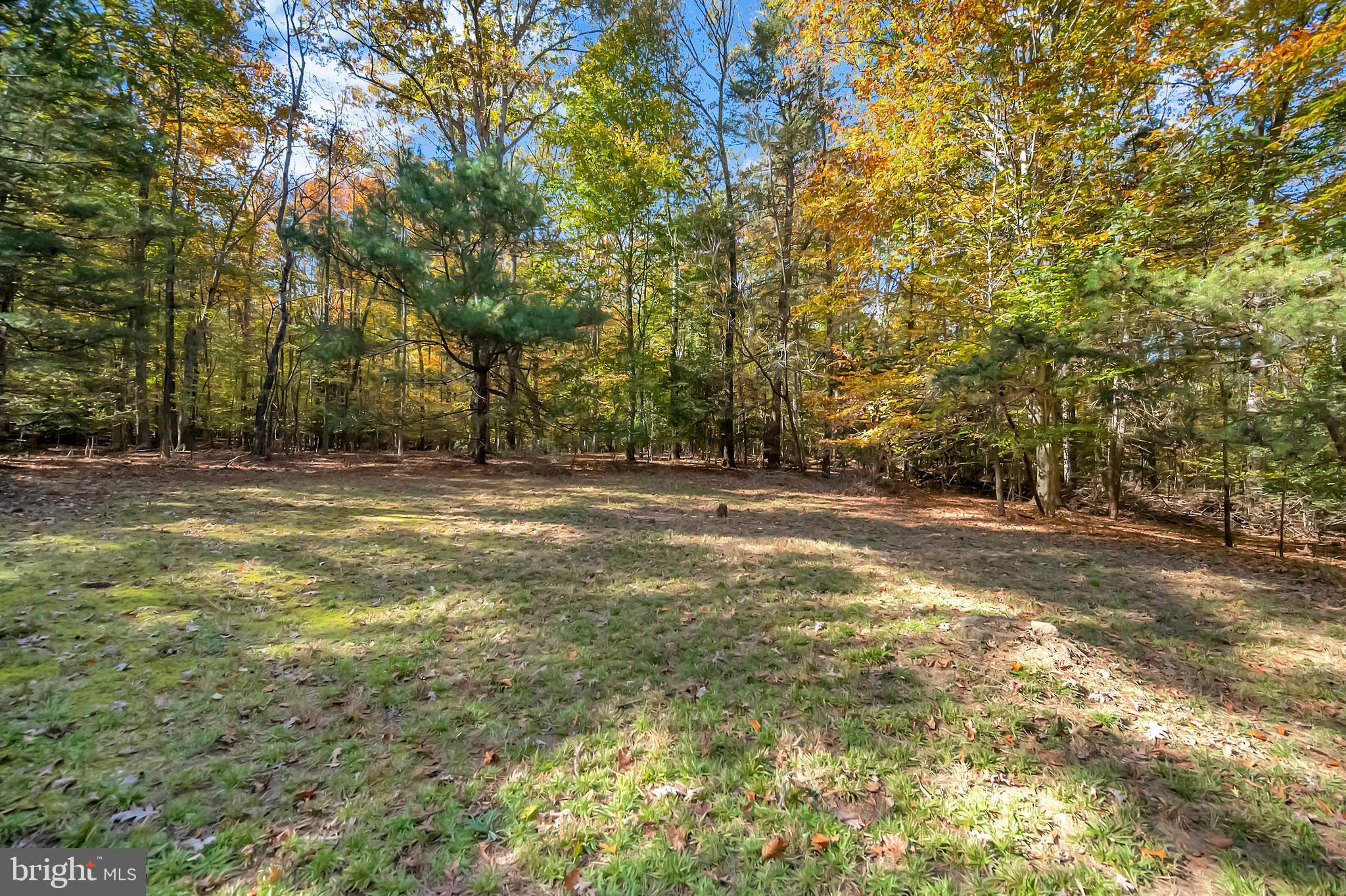 RIVER BLUFFS - Residential