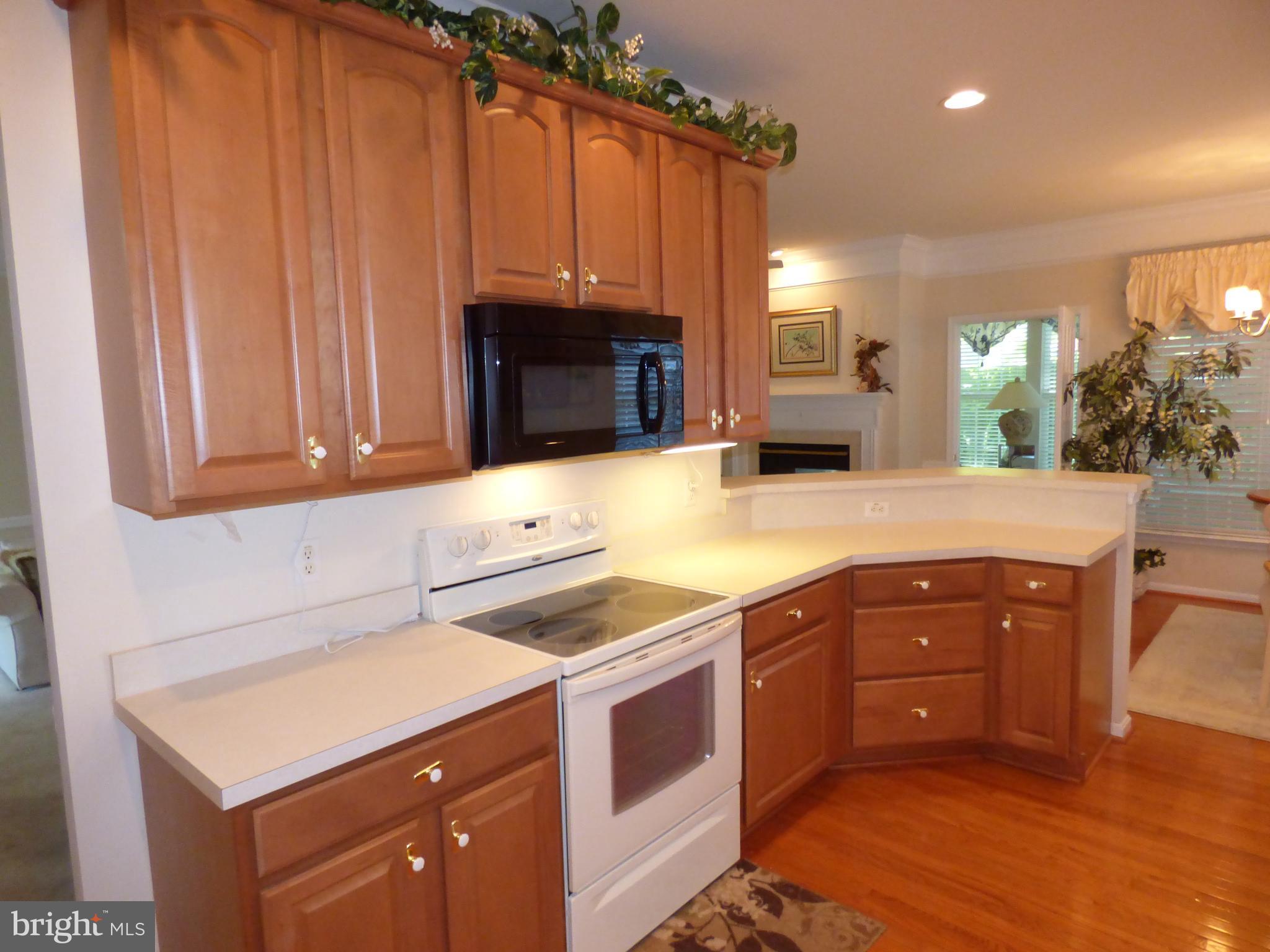 OCEAN PINES - THE PARKE - Residential