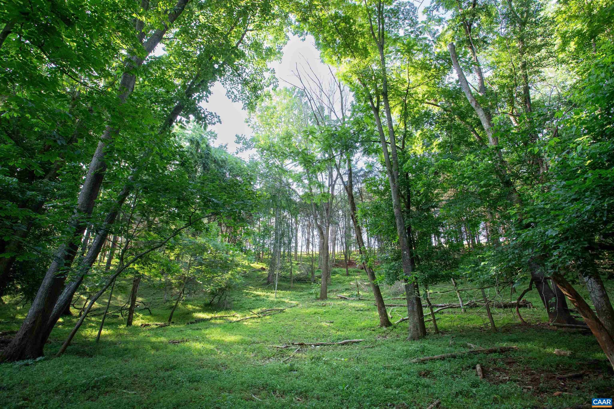 NONE AVAILABLE - Land