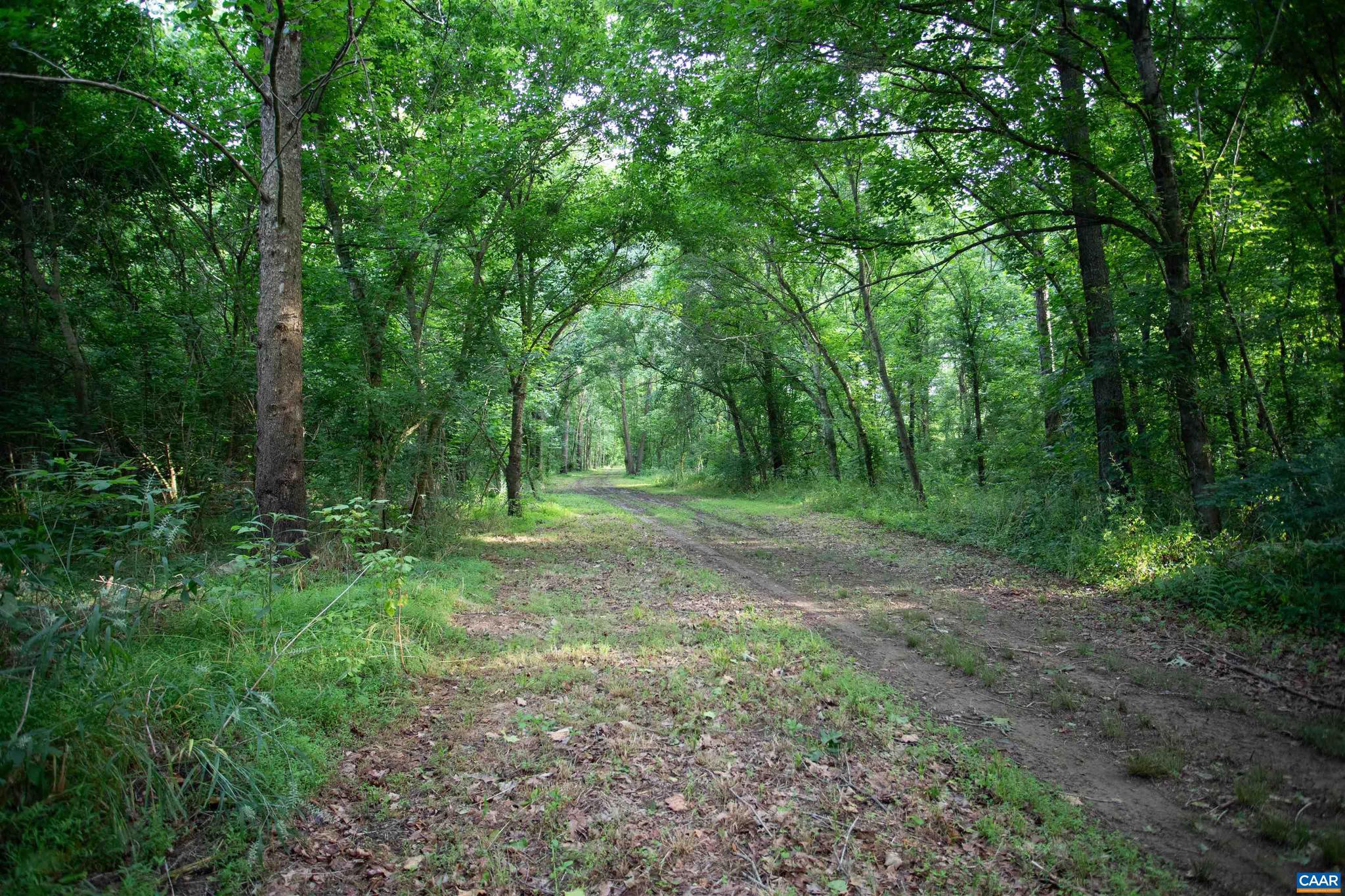 NONE AVAILABLE - Land