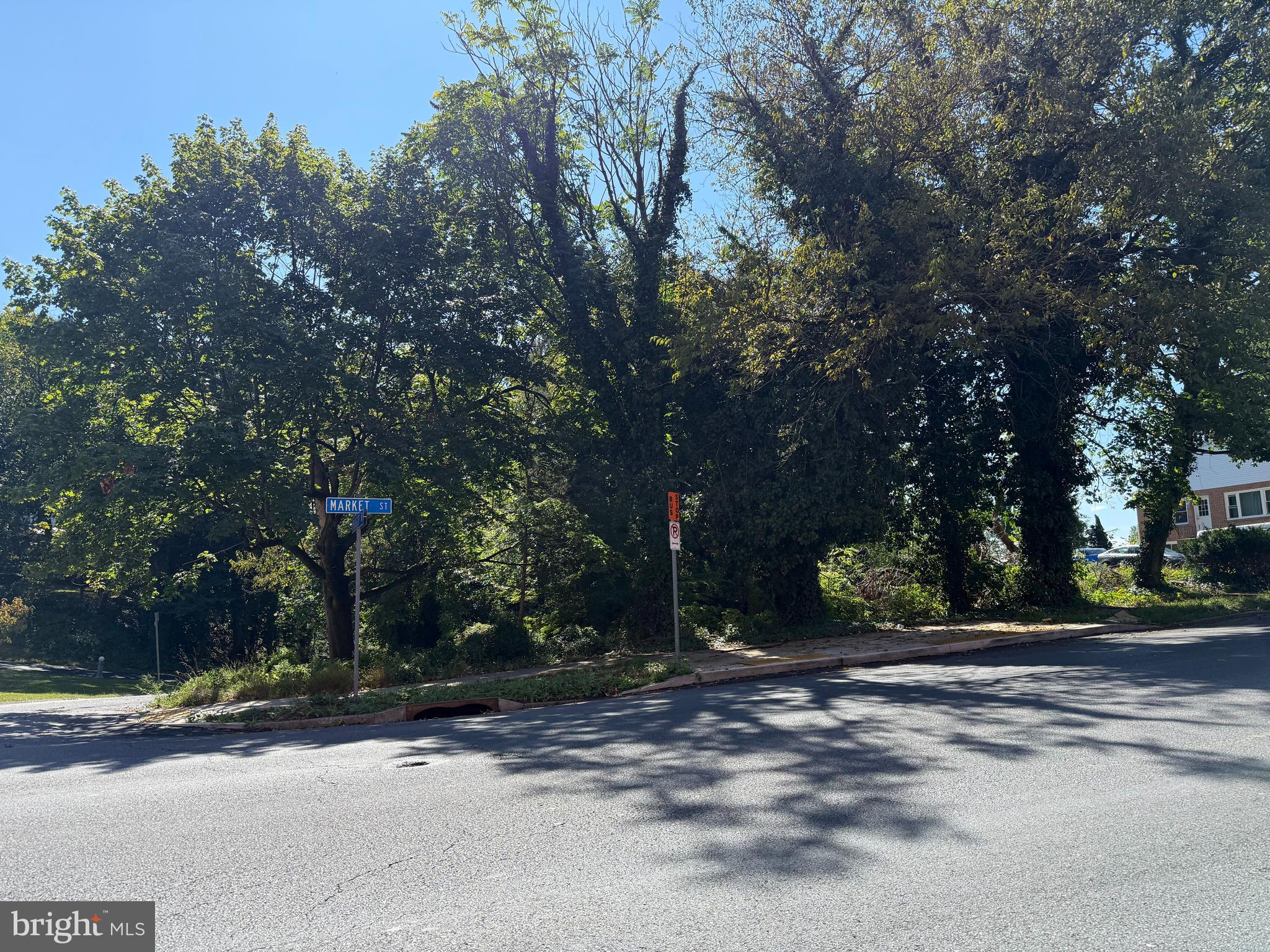 BELLEVUE PARK - Land