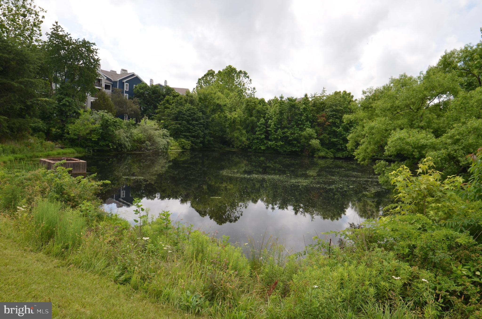 CENTRE RIDGE - Residential Lease