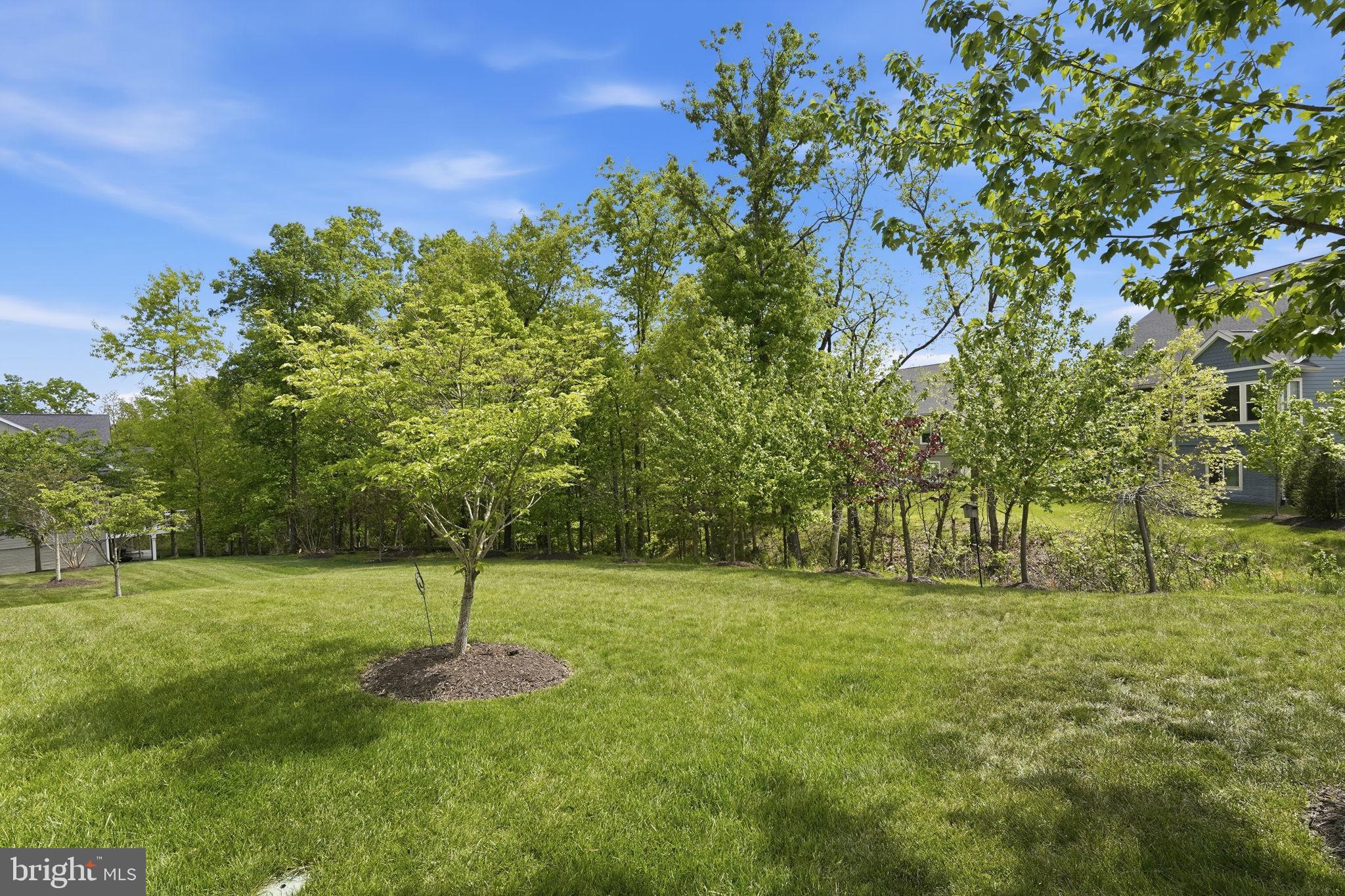 LAKE FREDERICK - Residential