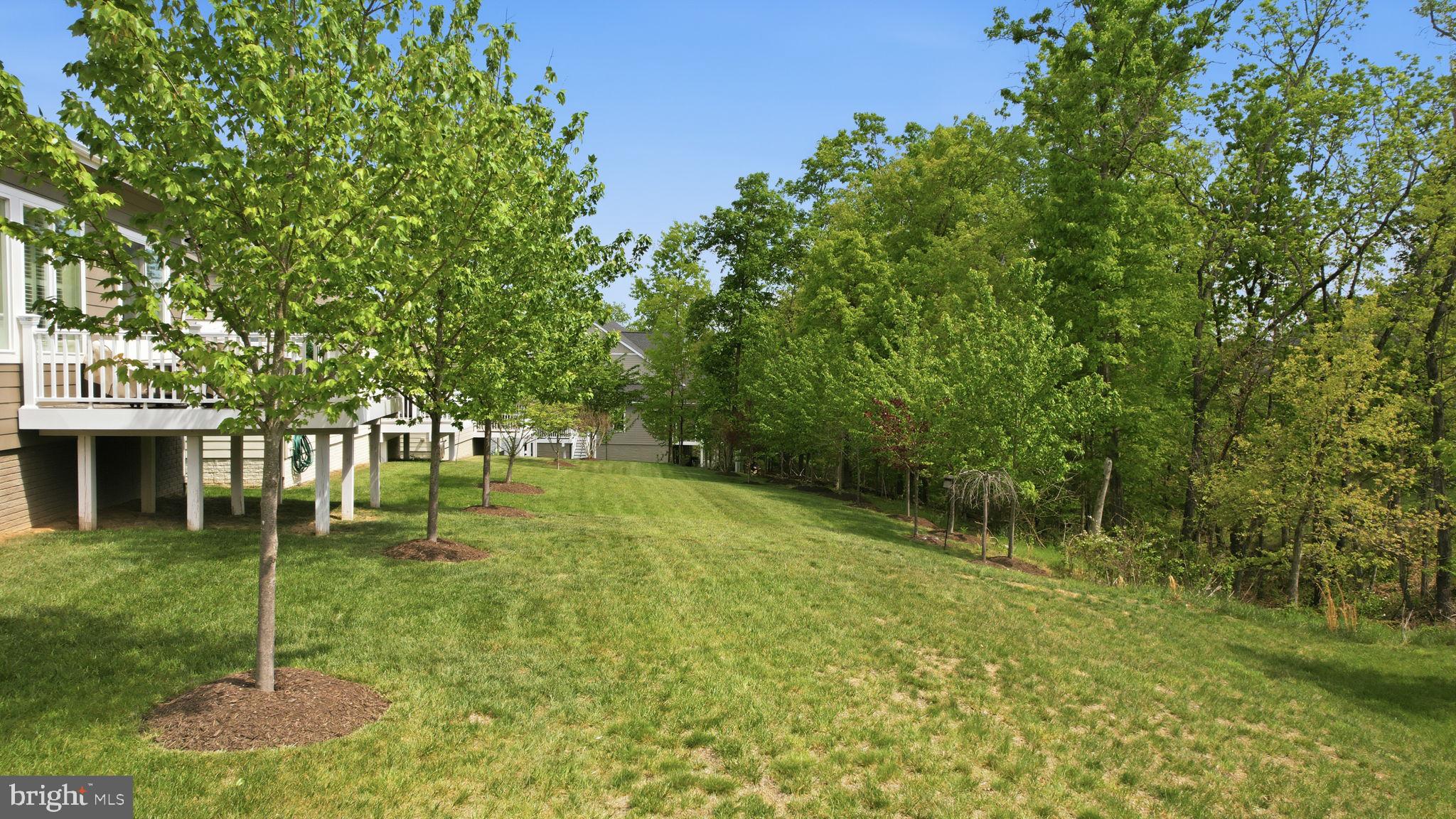 LAKE FREDERICK - Residential