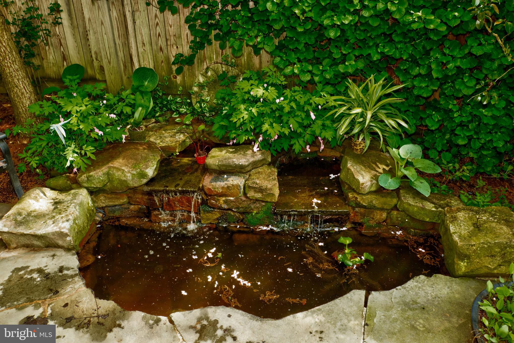 WEST CHEVY CHASE HEIGHTS - Residential